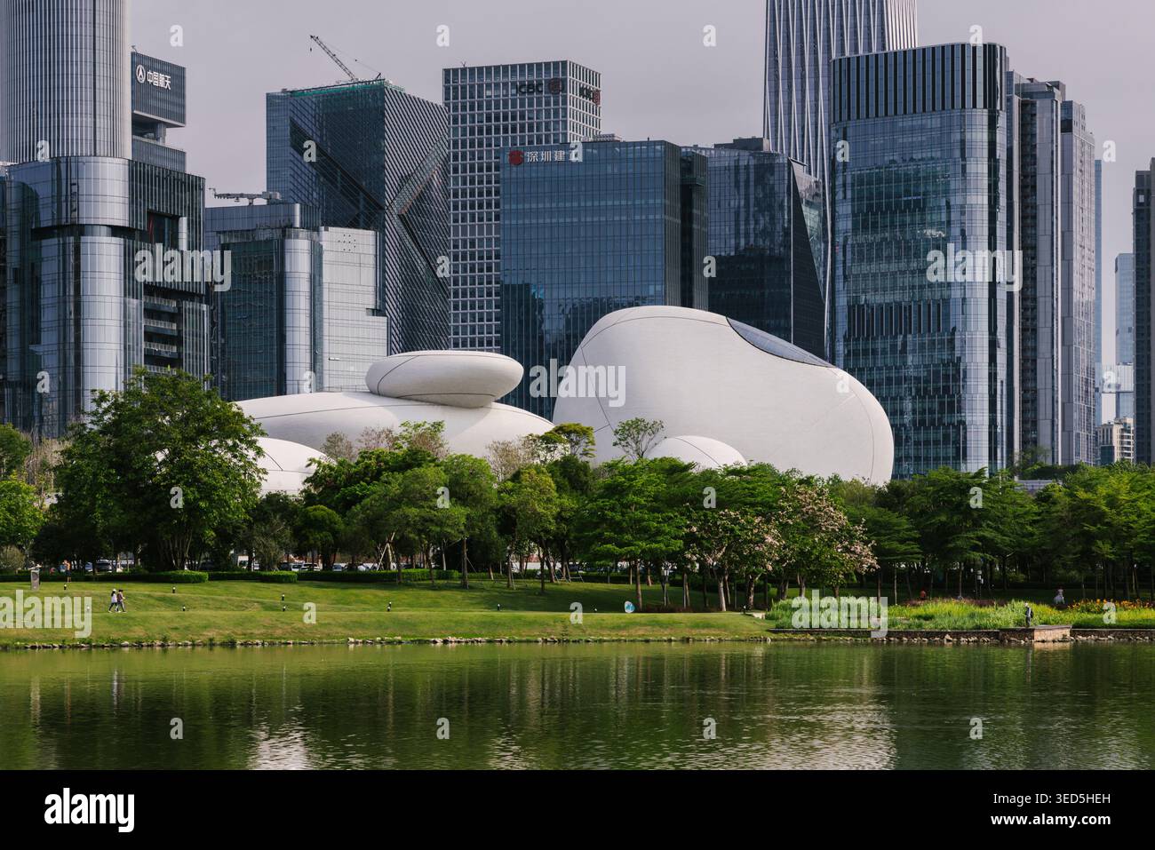 Shenzhen Bay culture Square, musée en bord de baie, vue extérieure avec parc paysager. Architecture design par MAD Architects. Banque D'Images