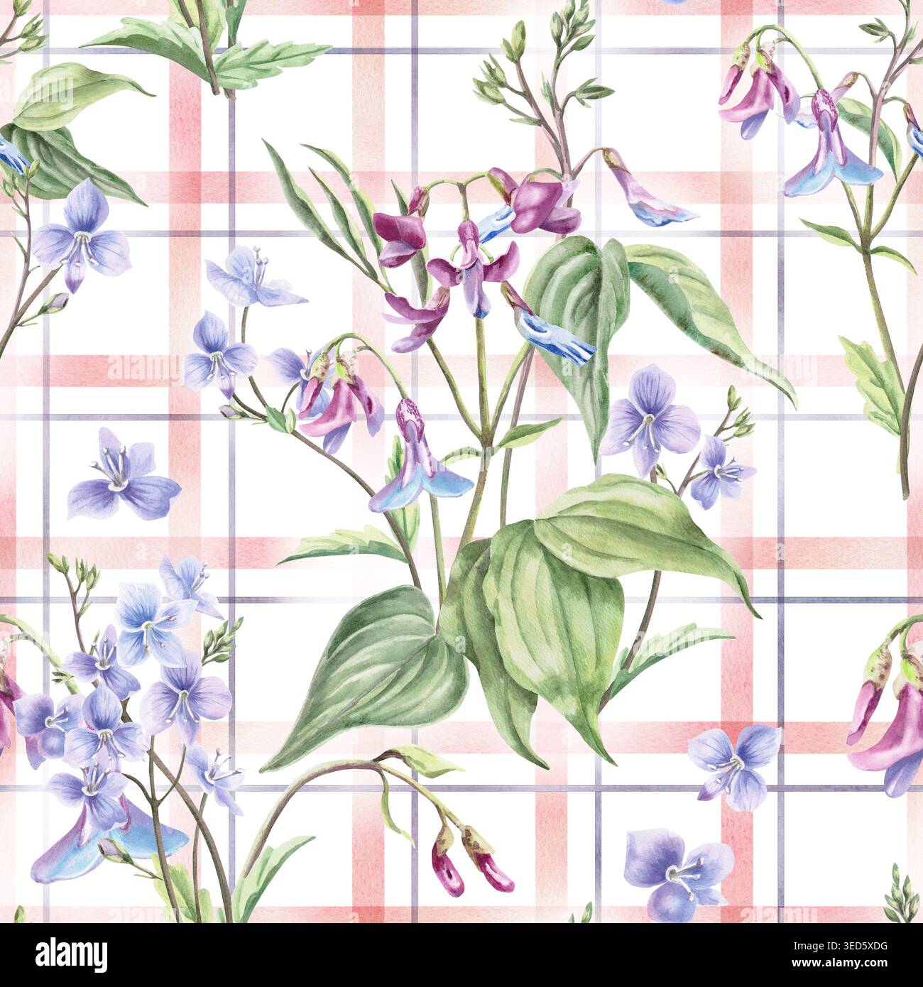 Un motif d'aquarelle délicat avec des fleurs de forêt sur un fond à carreaux rose. Crée une ambiance légère et aérée. Convient aux produits pour enfants Banque D'Images