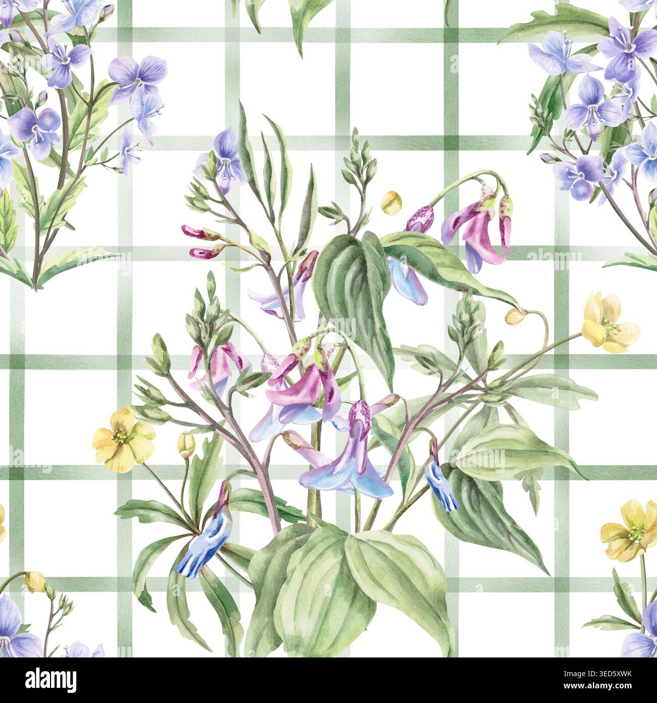 Un motif aquarelle sans couture avec du lilas délicat et des fleurs jaunes sur un fond à carreaux vert. L'illustration convient à la conception florale Banque D'Images