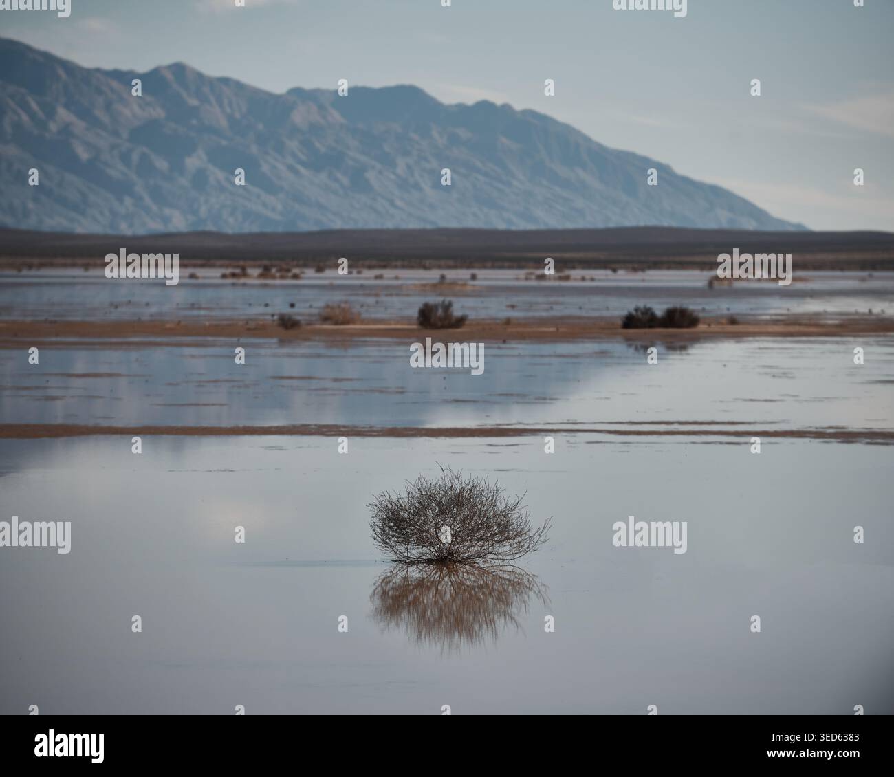 De l'eau rare remplit Badwater Basin dans la vallée de la mort Banque D'Images