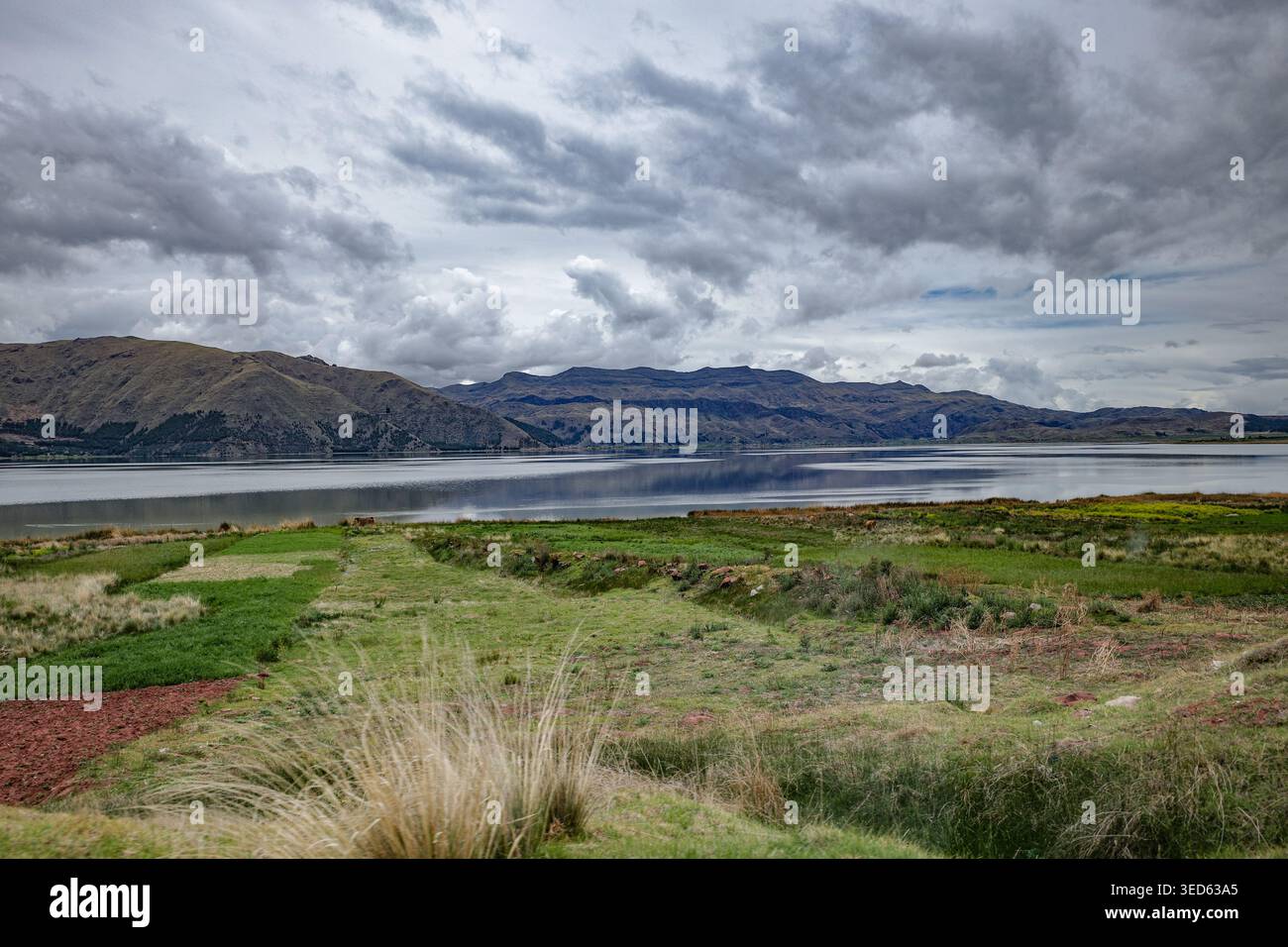 Cusco, Pérou - 26 novembre 2025 : Laguna Pomacanchi et les 4 lacs roulent dans la province d'Acomayo Banque D'Images