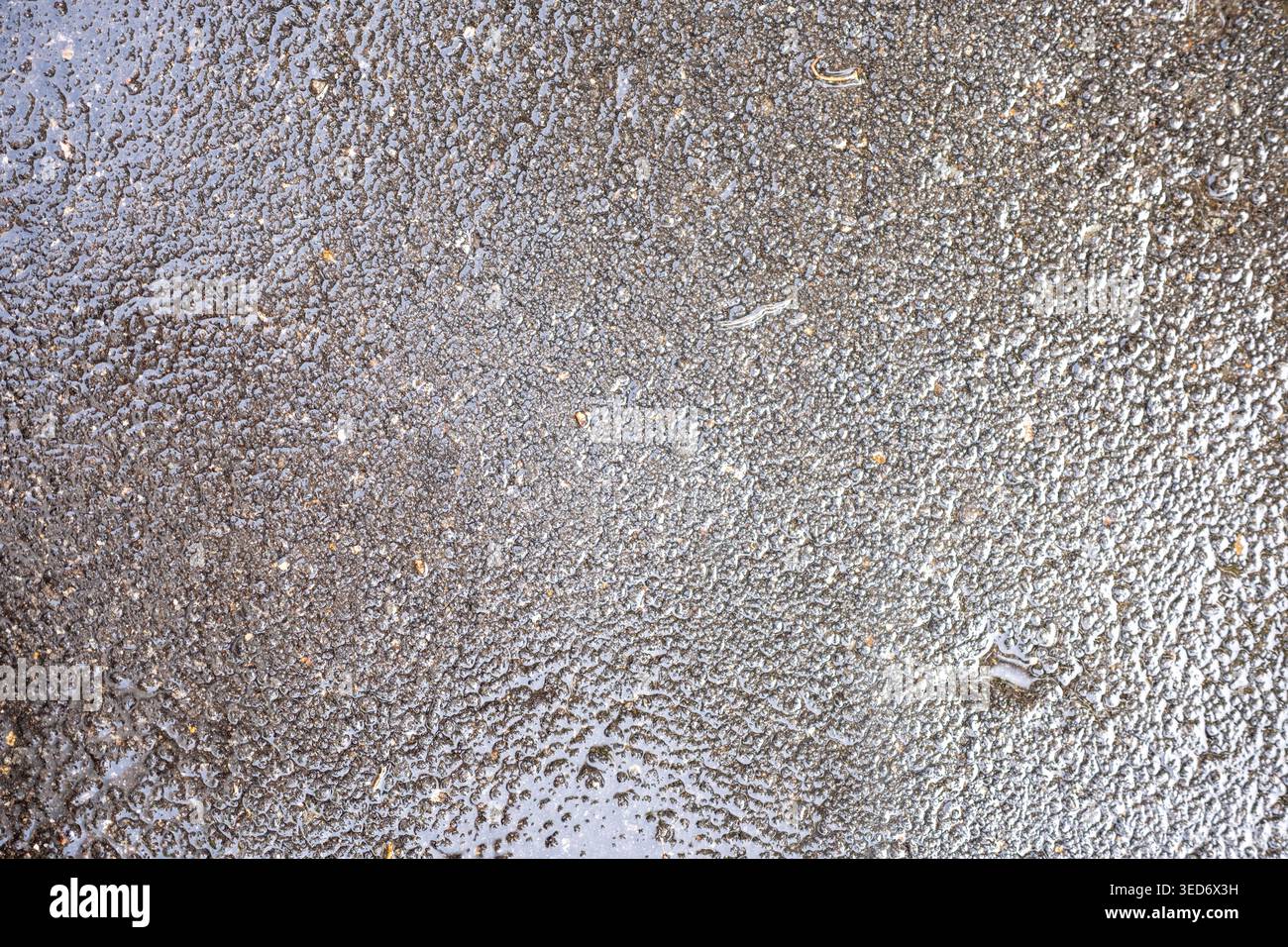 Gros plan d'une surface d'asphalte humide avec des reflets naturels de l'eau et un revêtement texturé foncé. Convient pour les milieux urbains, les concepts de temps pluvieux. Banque D'Images