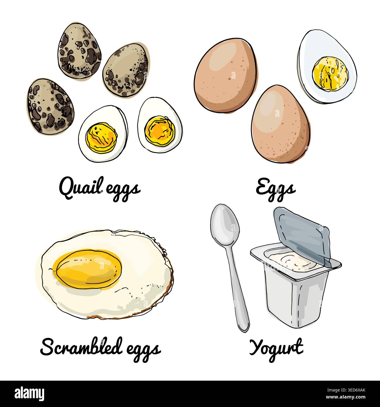 Icônes de nourriture vectorielle. Croquis coloré de produits alimentaires. Oeufs, oeufs de caille, oeufs brouillés Illustration de Vecteur