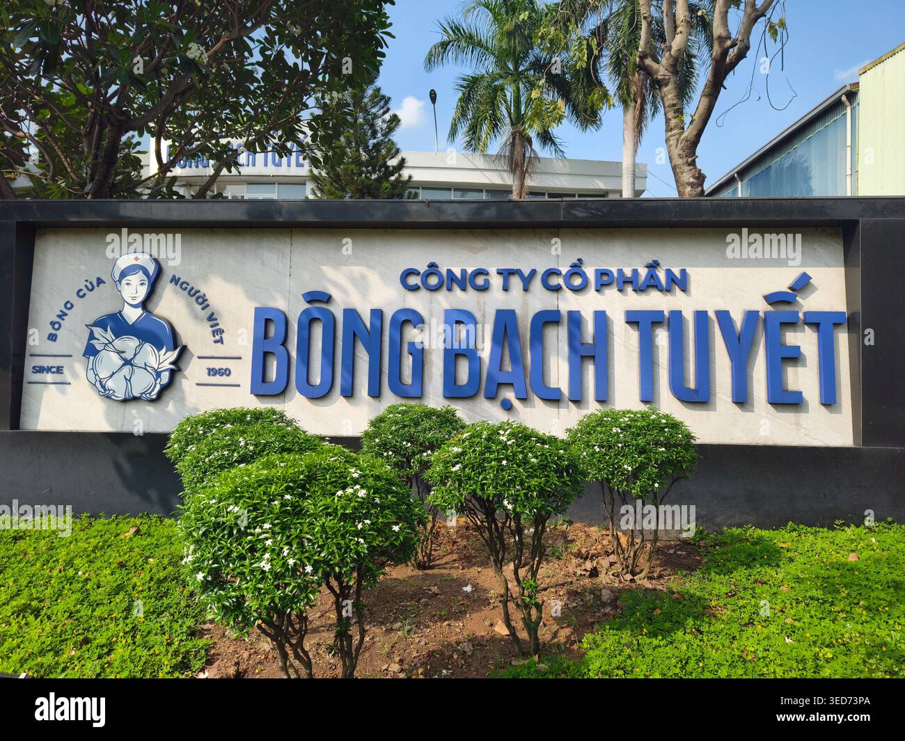 Installation de Bong Bach Tuyet, fabricant de coton médical, de bandages et de produits de soins personnels créé en 1960. Parc industriel de Vinh Loc, Vietnam Banque D'Images