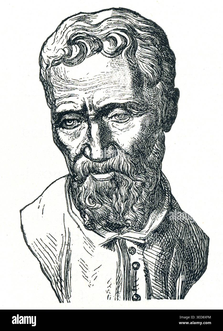 Portrait de Michel-Ange, sculpteur, peintre et architecte italien de la Renaissance, illustration historique Banque D'Images