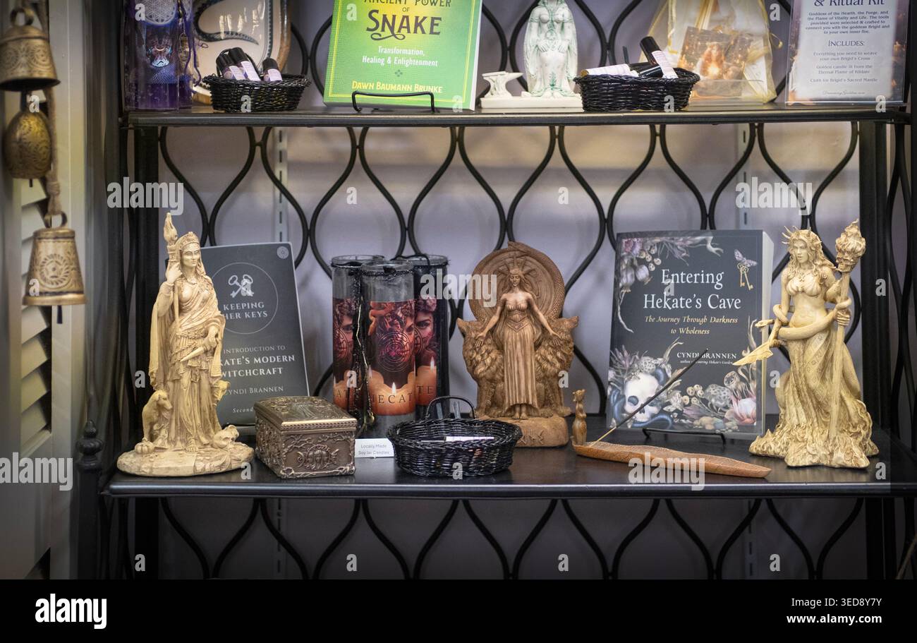 Étagère de livre et statues se rapportant à Hekate la déesse de la magie, de la sorcellerie et des fantômes. À la Déesse rêveuse, un magasin métaphysique à Poughkeepsie Banque D'Images