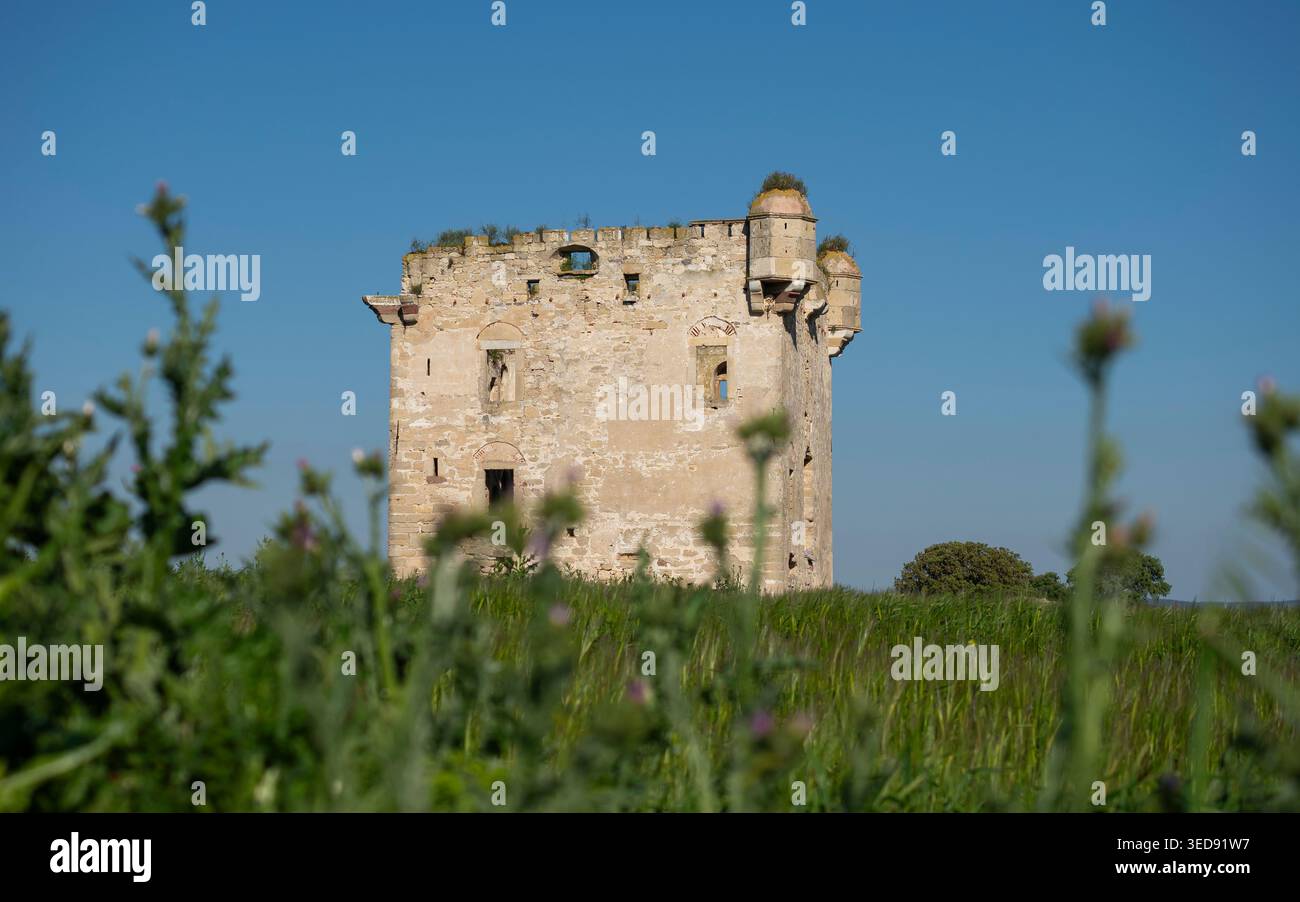Vue aérienne du manoir de Cezayirli Hasan Pacha sur la côte des Dardanelles à Canakkale, Turquie, architecture du patrimoine ottoman Banque D'Images