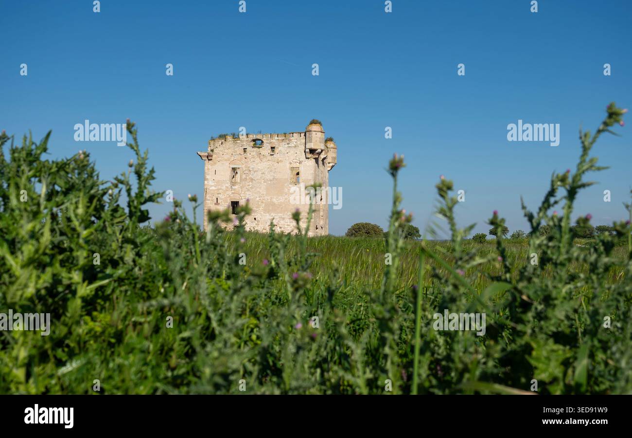 Vue aérienne du manoir de Cezayirli Hasan Pacha sur la côte des Dardanelles à Canakkale, Turquie, architecture du patrimoine ottoman Banque D'Images