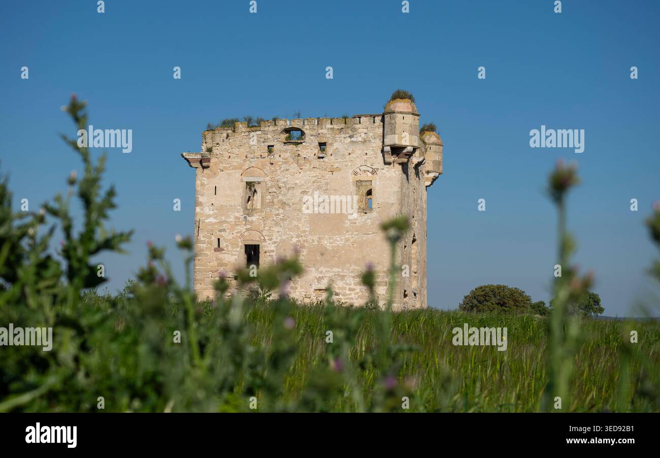 Vue aérienne du manoir de Cezayirli Hasan Pacha sur la côte des Dardanelles à Canakkale, Turquie, architecture du patrimoine ottoman Banque D'Images