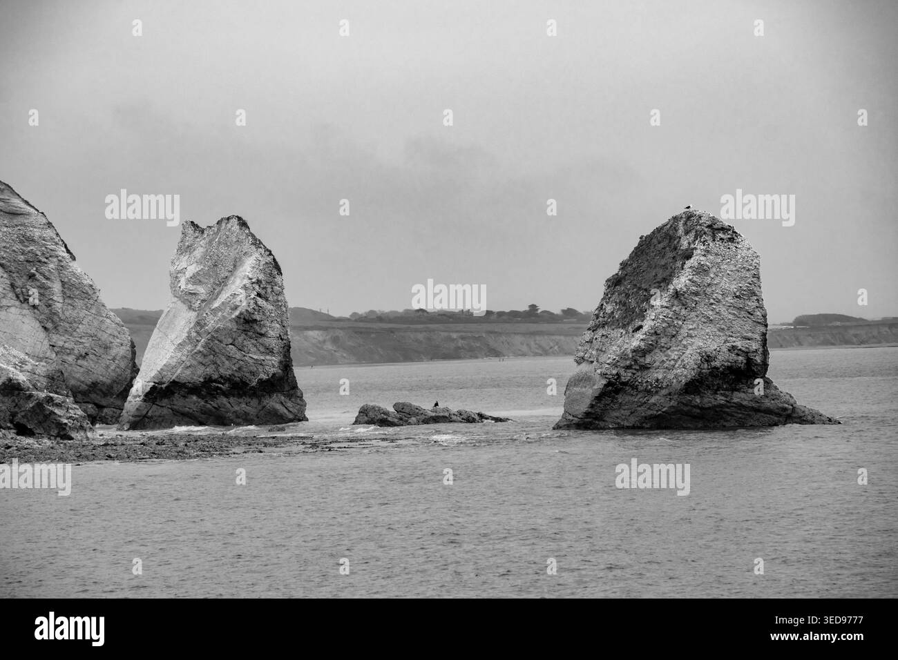 Pile de craie à Freshwater Bay, île de Wight. Tourné en monochrome, noir et blanc. Banque D'Images