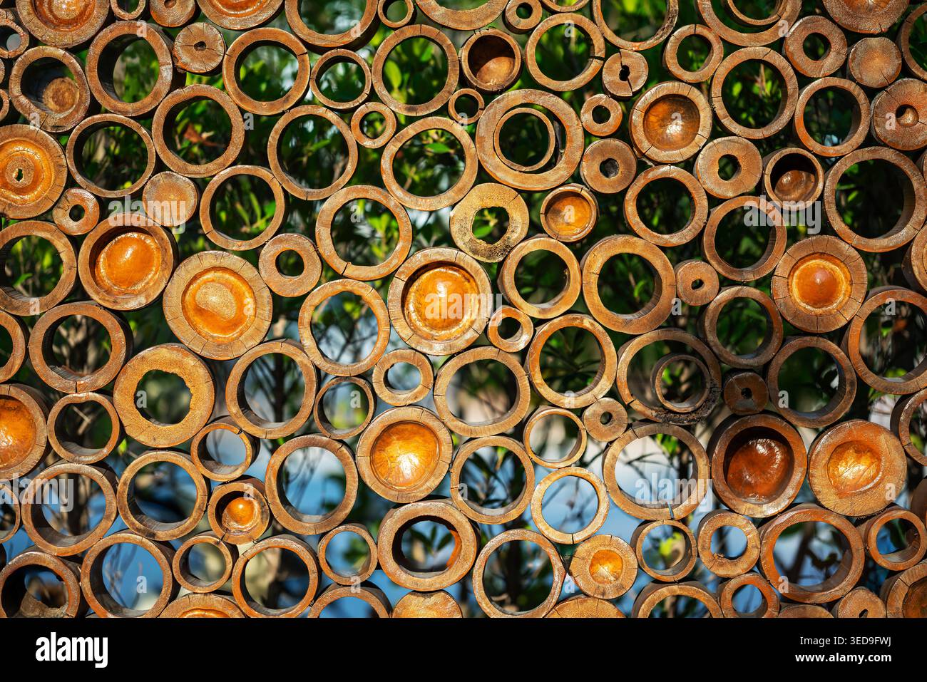 Cette image présente un arrangement complexe de motifs circulaires dans des tons terreux, mettant en valeur un mélange de design artistique et d'éléments naturels. Banque D'Images