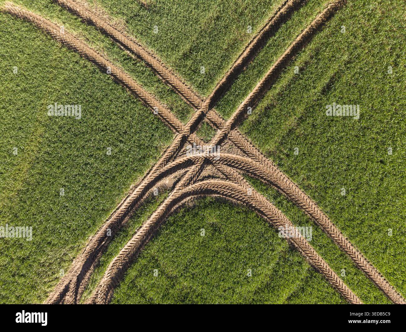 Vue aérienne de traces de pneus de tracteur traversant un champ agricole vert luxuriant sous la lumière du soleil Meikleour, Écosse, Royaume-Uni. Banque D'Images
