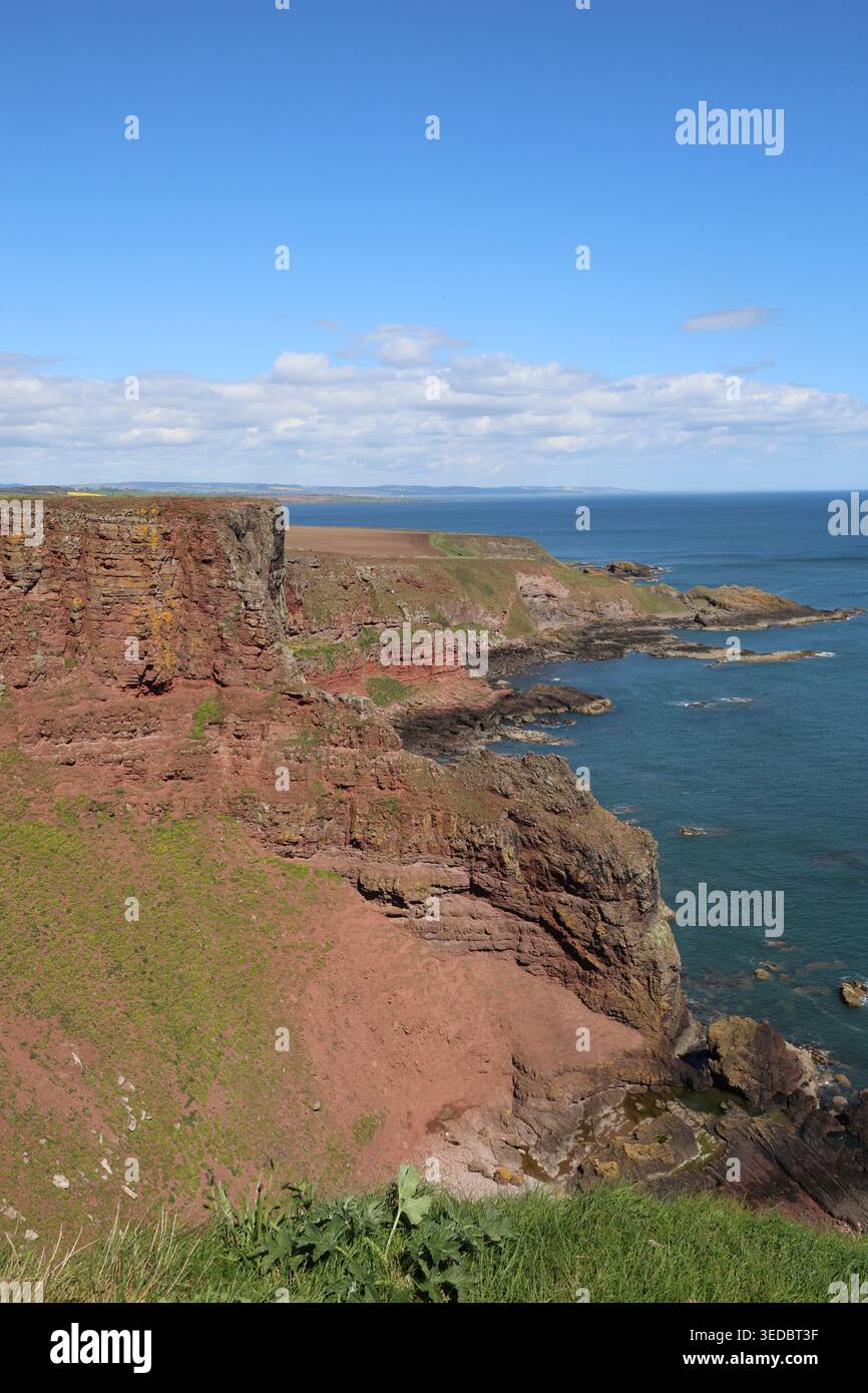 Falaises de grès rouge près d'Ethie Angus Écosse mai 2026 Banque D'Images