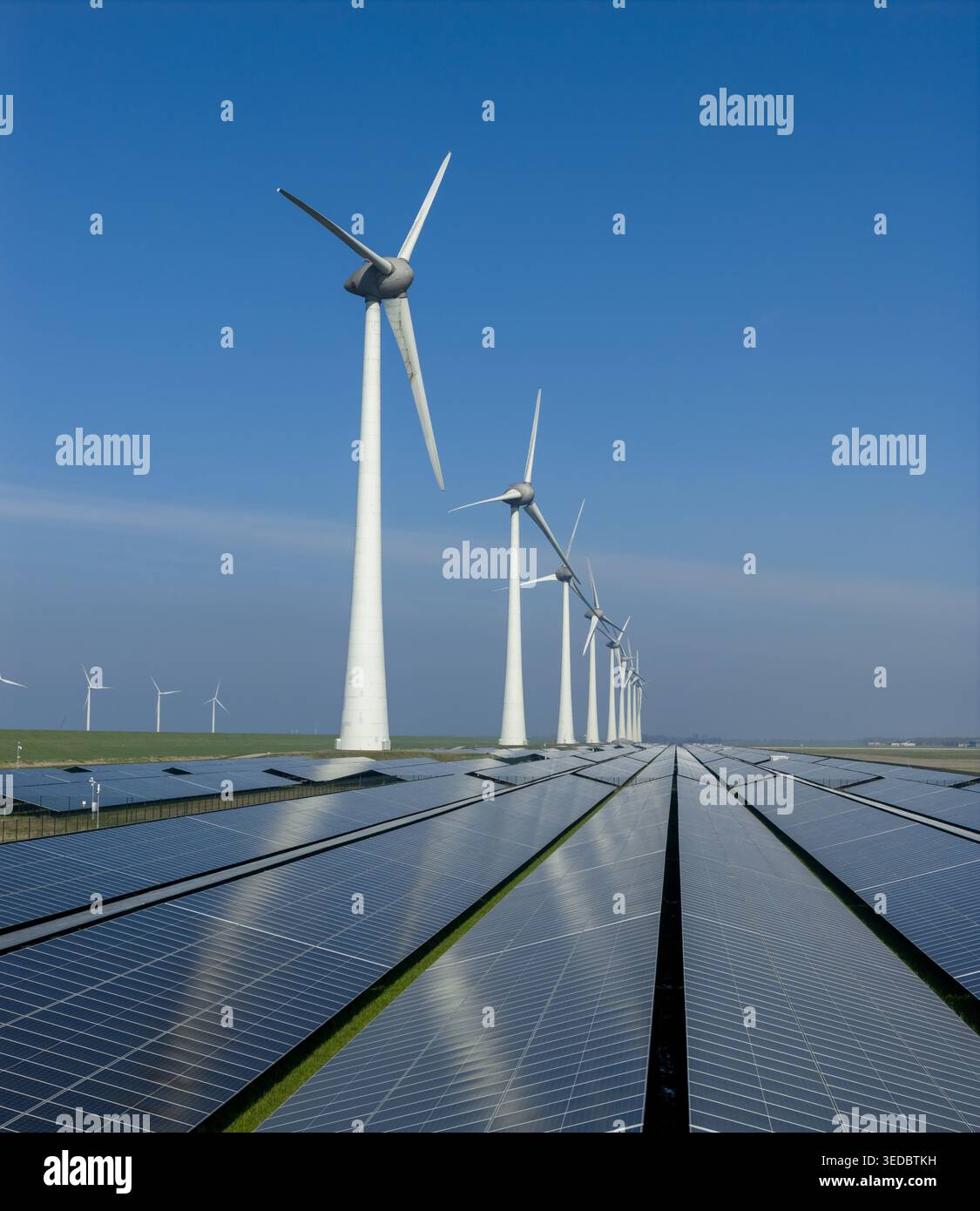 Vue aérienne d'une rangée d'éoliennes debout au-dessus d'un vaste champ de panneaux solaires sous un ciel bleu clair aux pays-Bas. Banque D'Images