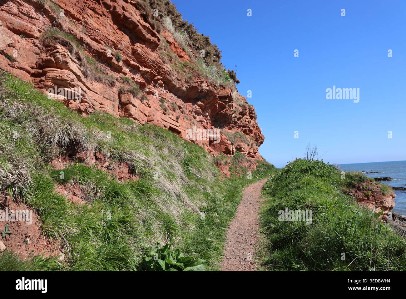 Sentier de randonnée côtier de l'Aberdeenshire près de falaises de grès rouge près de Johnshaven Écosse avril 2026 Banque D'Images