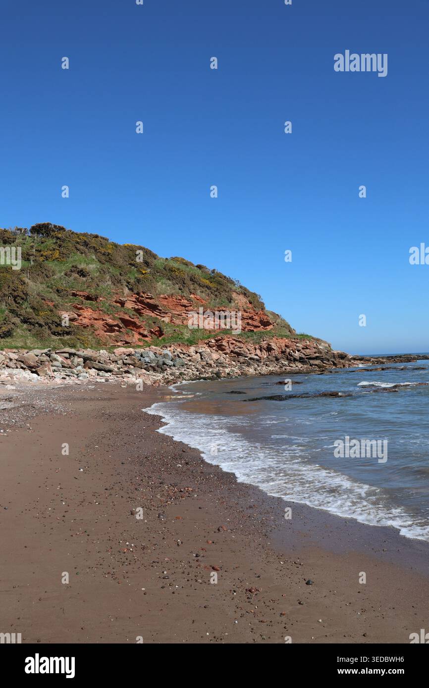 Plage et falaises de grès rouge près de Johnshaven Écosse avril 2026 Banque D'Images