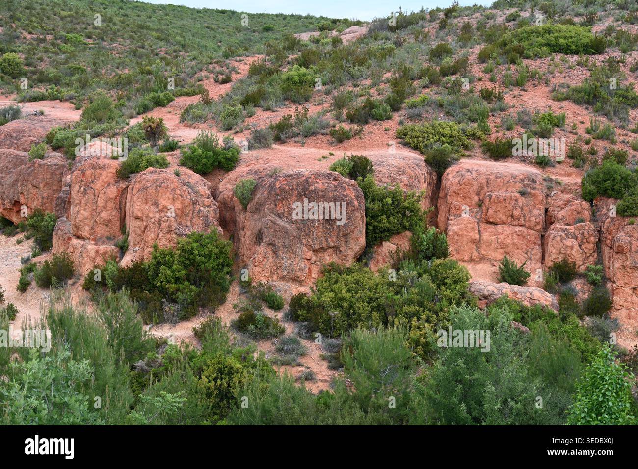 Paysage rocheux d'affleurements ou de formations de grès, d'ocre et d'argile rouge dans la vallée de l'Infernet entre Vitrolles et les Pennes-Miabeau Provence France Banque D'Images
