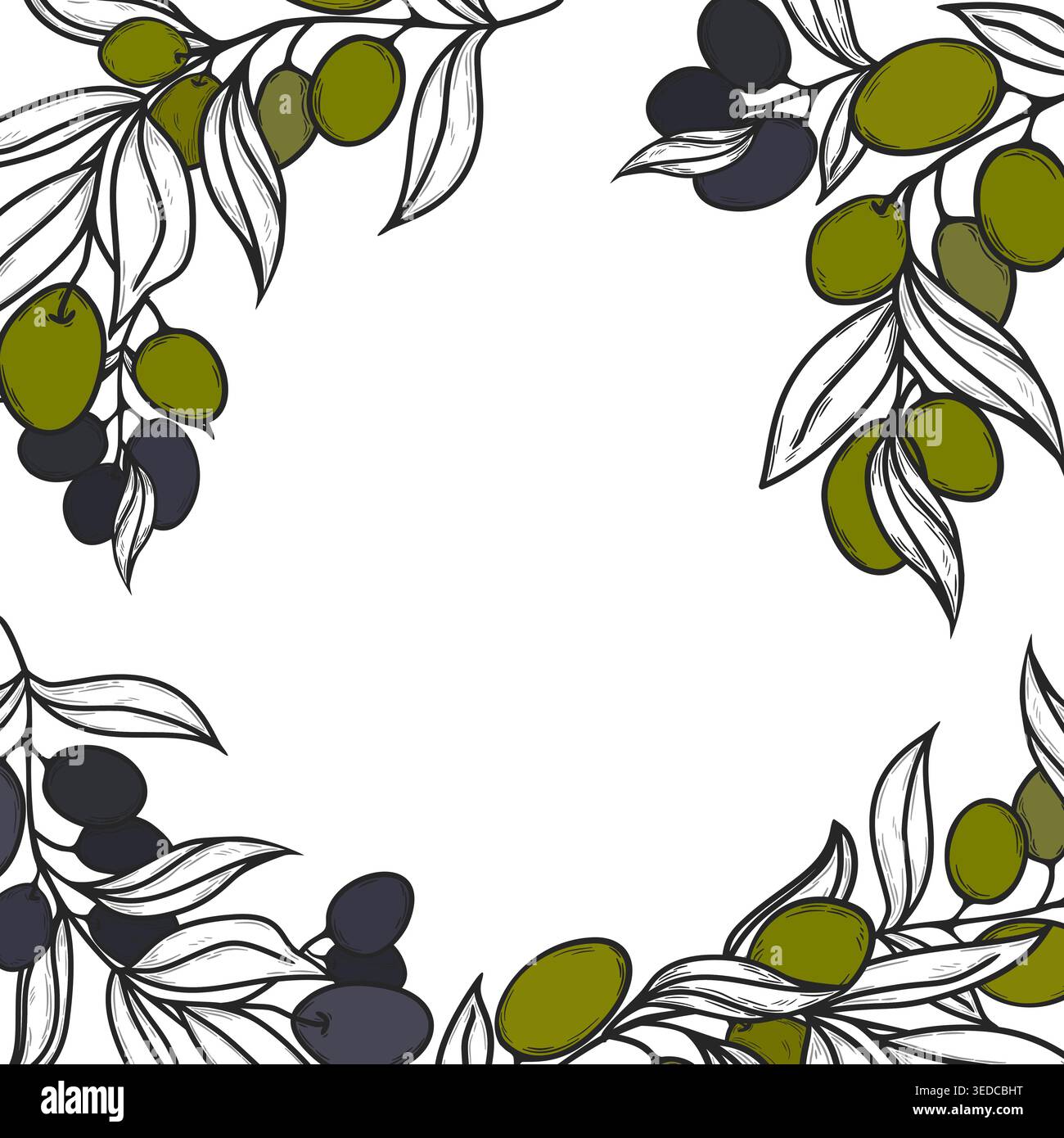 Cadre carré vectoriel décoré de branches d'oliviers vertes et noires. Modèle botanique pour les médias sociaux, l'emballage des produits et l'étiquette des aliments biologiques. Illustration de Vecteur