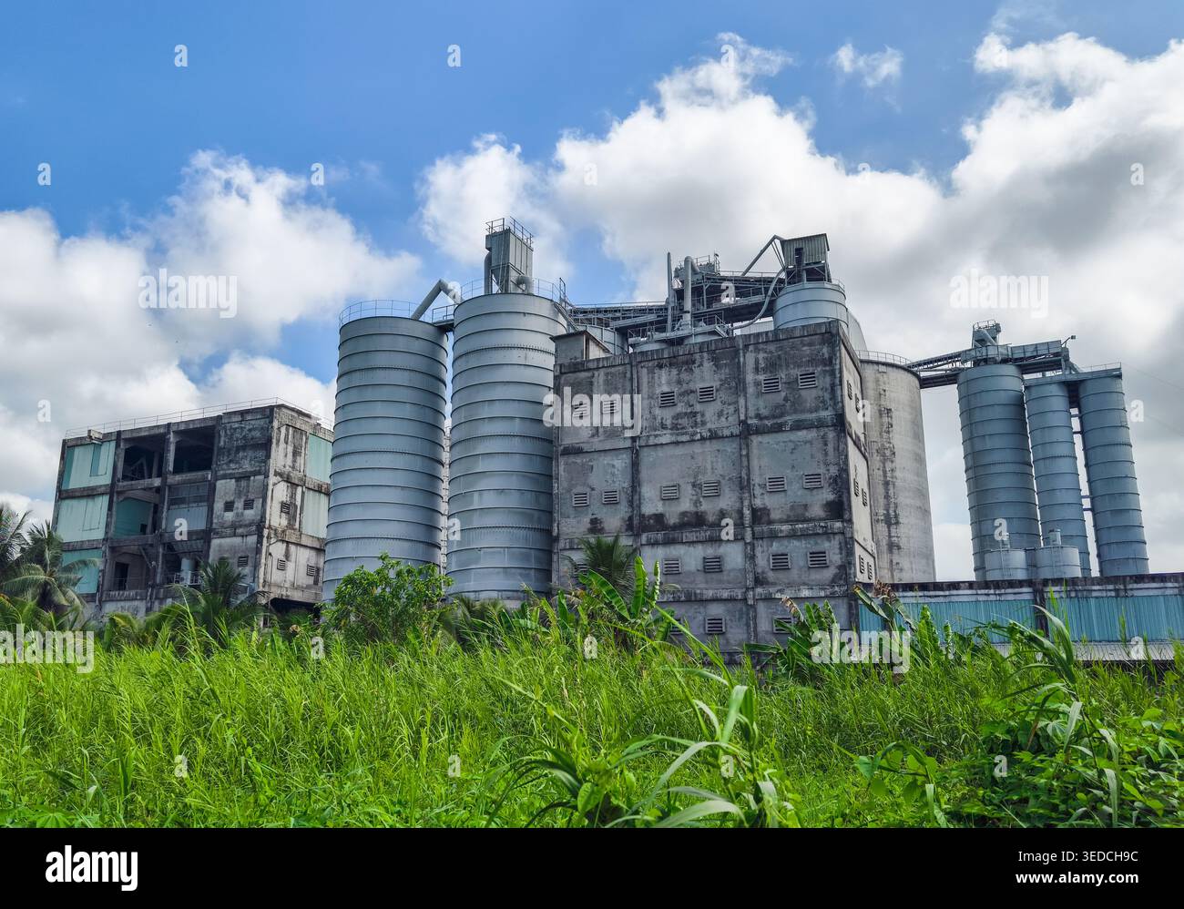 Tay do Cement joint Stock Company situé à Can Tho, Vietnam, silos cylindriques en béton utilisés pour stocker du ciment en vrac ou des matières premières Banque D'Images
