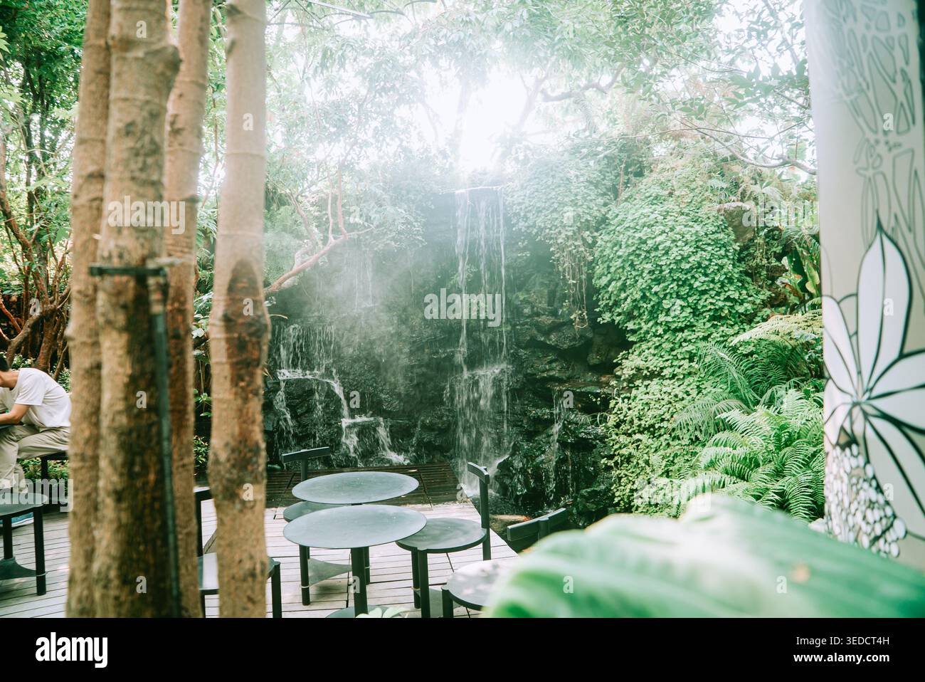 Une scène de jardin tranquille avec une cascade sereine entourée d'une végétation luxuriante et des sièges élégants, parfait pour la détente et l'évasion dans la nature. Banque D'Images