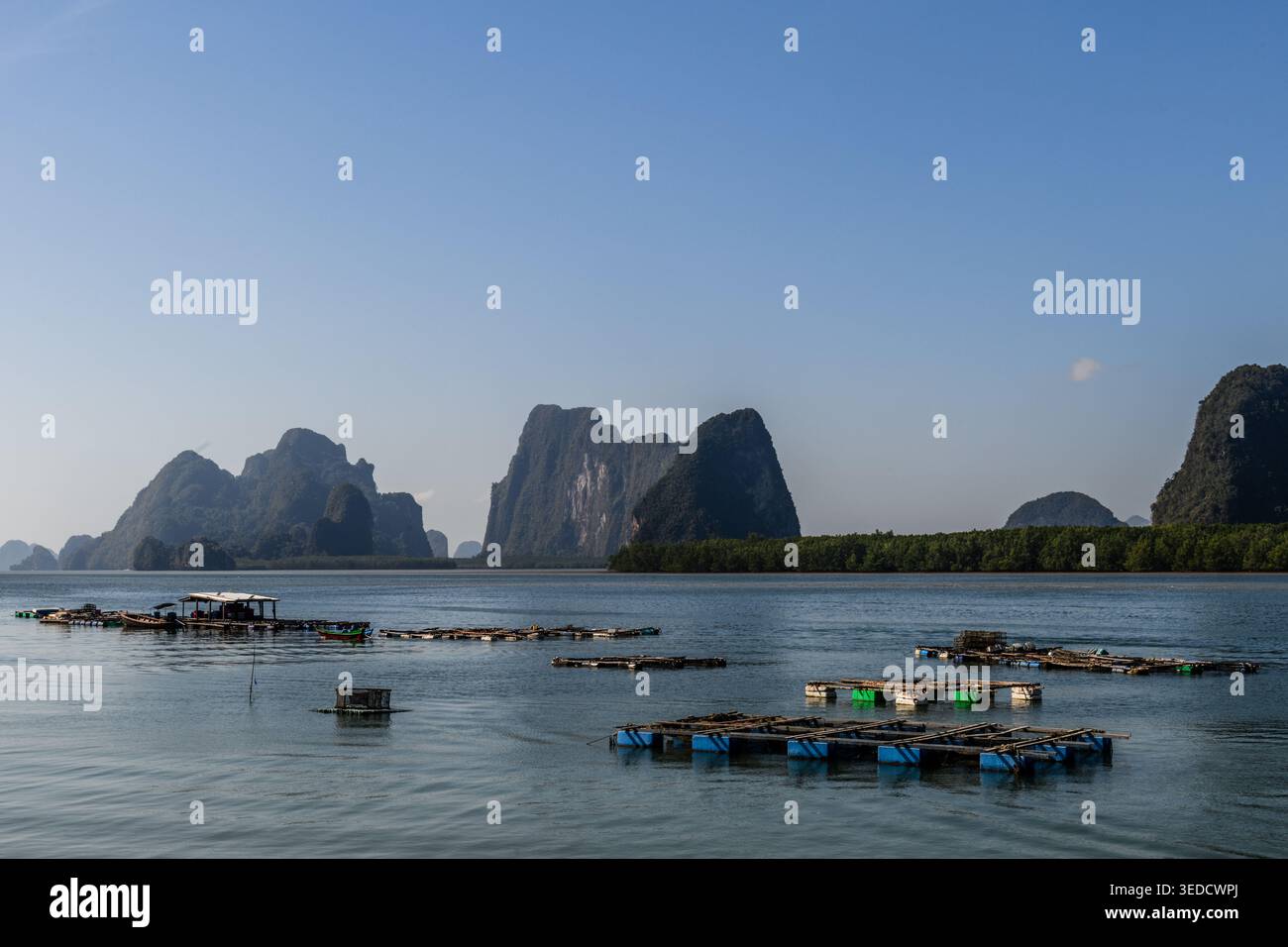 Fermes piscicoles sur la baie de Phang Nga, en Thaïlande, sur les rives de Ko Panyi, également connu sous le nom de Koh Panyee, un village de pêcheurs musulman flottant, remarquable pour être bu Banque D'Images