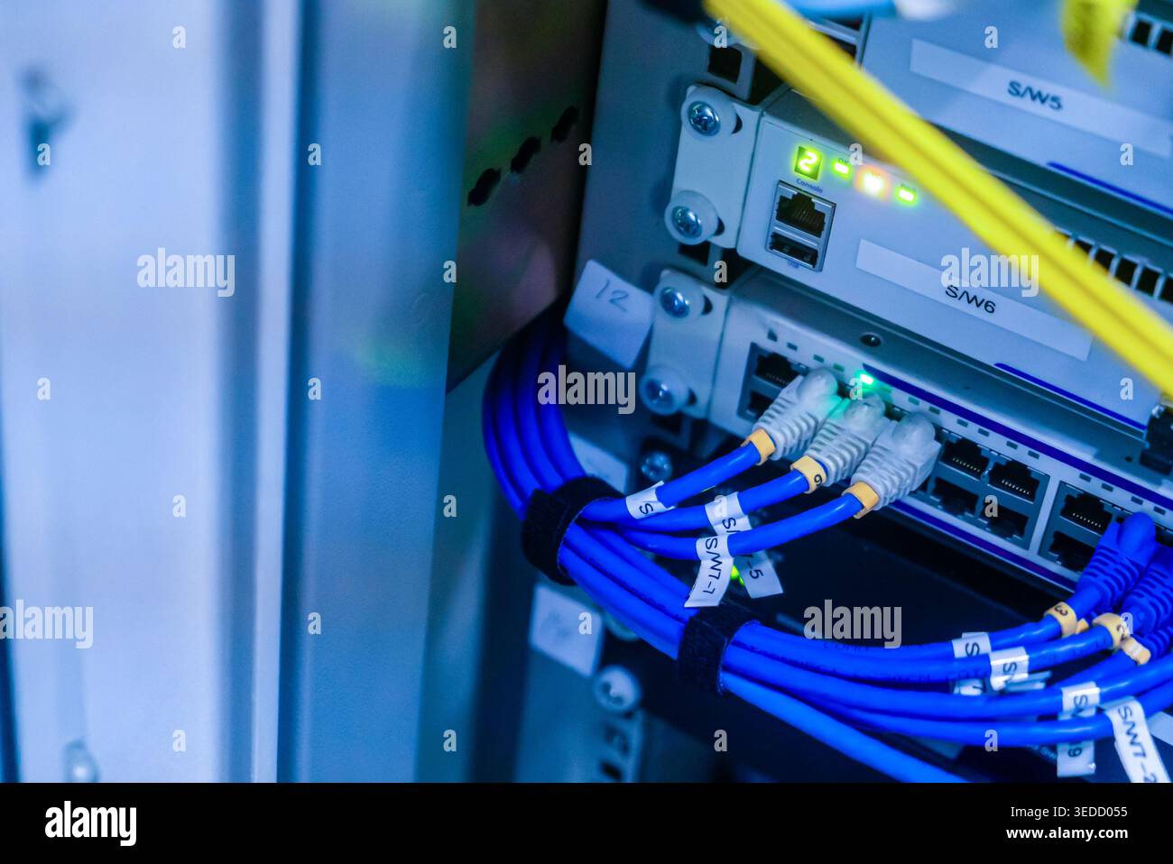 Gros plan d'un commutateur réseau avec des câbles Ethernet bleus connectant différents ports. La configuration met en valeur la technologie moderne dans un centre de données e. Banque D'Images