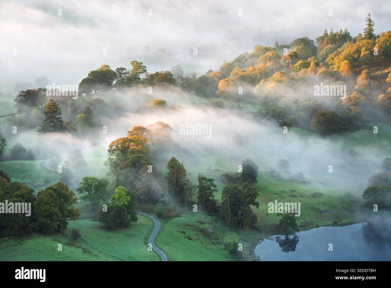 Brume matinale avec vue sur l'automne dans la belle vallée près de Loughrigg Tarn dans le Lake District, Royaume-Uni. Banque D'Images
