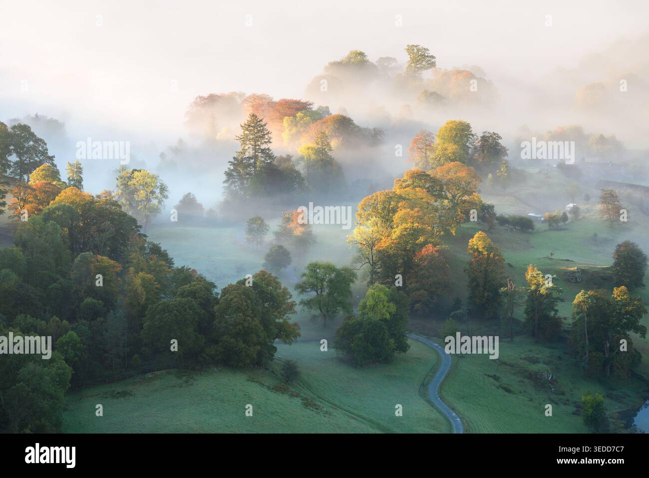 Beau paysage d'automne avec brouillard matinal et arbres colorés près de Loughrigg Tarn dans le Lake District, en Angleterre. Banque D'Images
