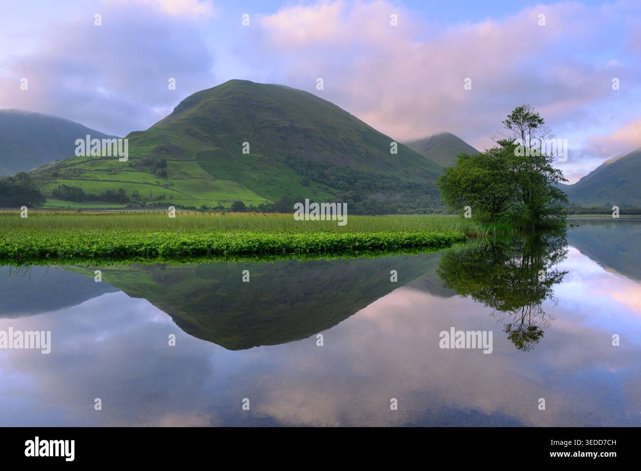 Les reflets de montagne du Lake District à Brotherswater par un matin paisible d'été. Banque D'Images