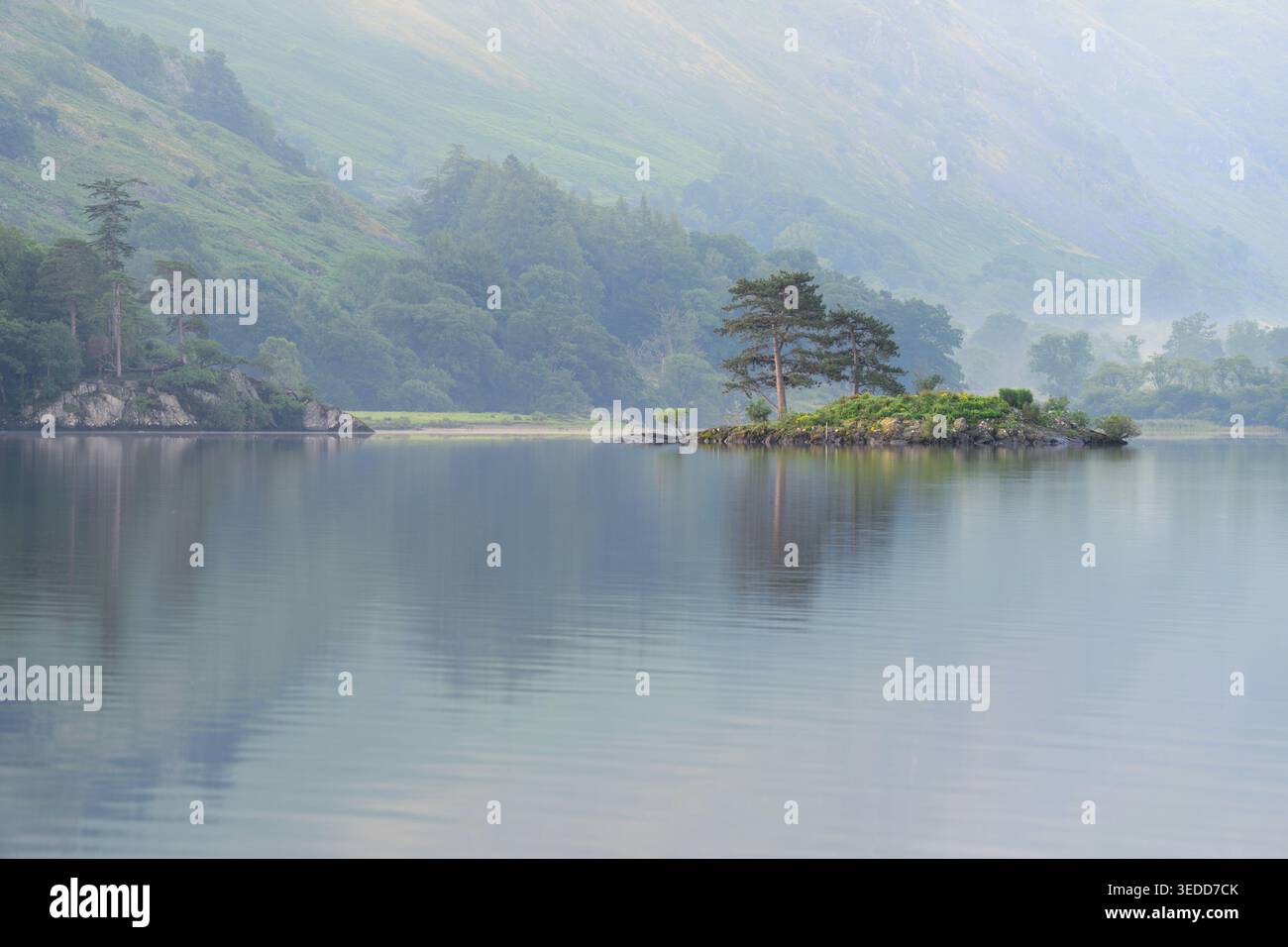 Vue paisible de Wall Holm Island par un matin brumeux d'été près de Glenridding, Ullswater dans le Lake District, Royaume-Uni. Banque D'Images