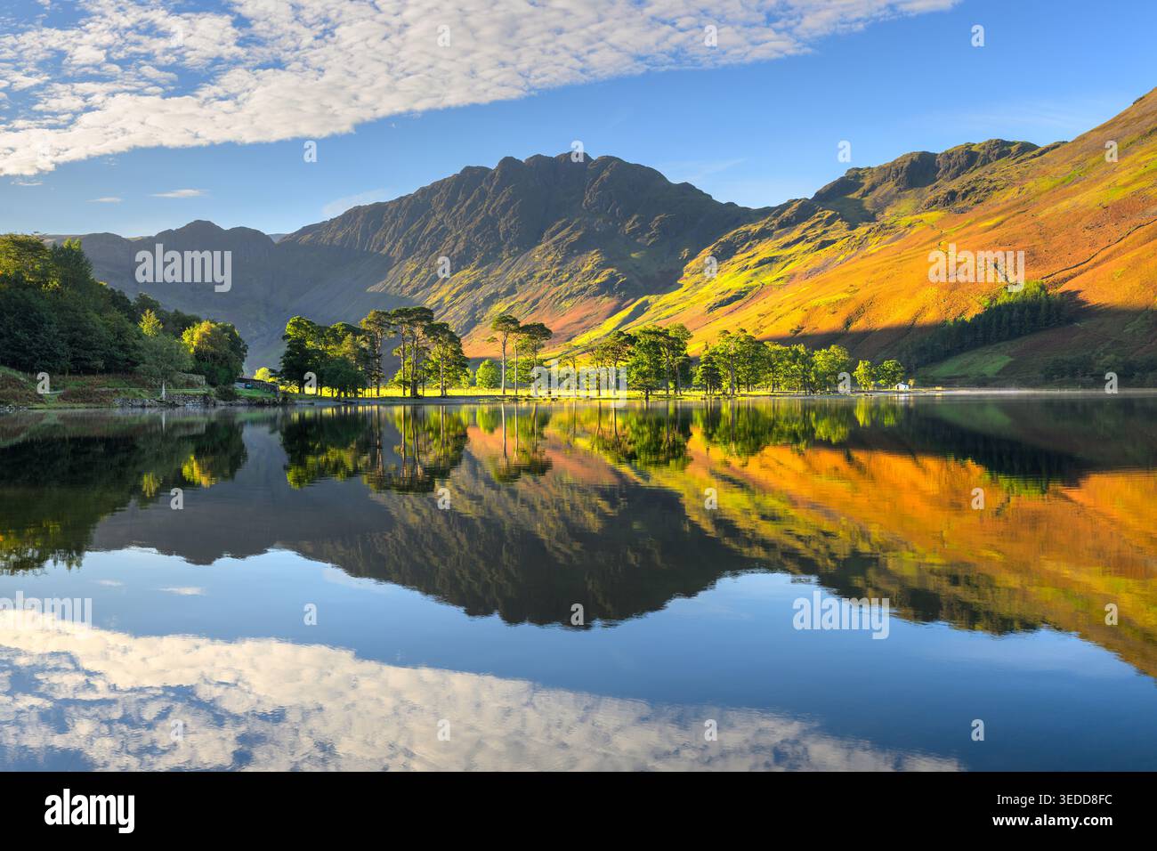 Beaux reflets d'automne à Buttermere par un matin ensoleillé avec des reflets calmes, Lake District, Royaume-Uni. Banque D'Images