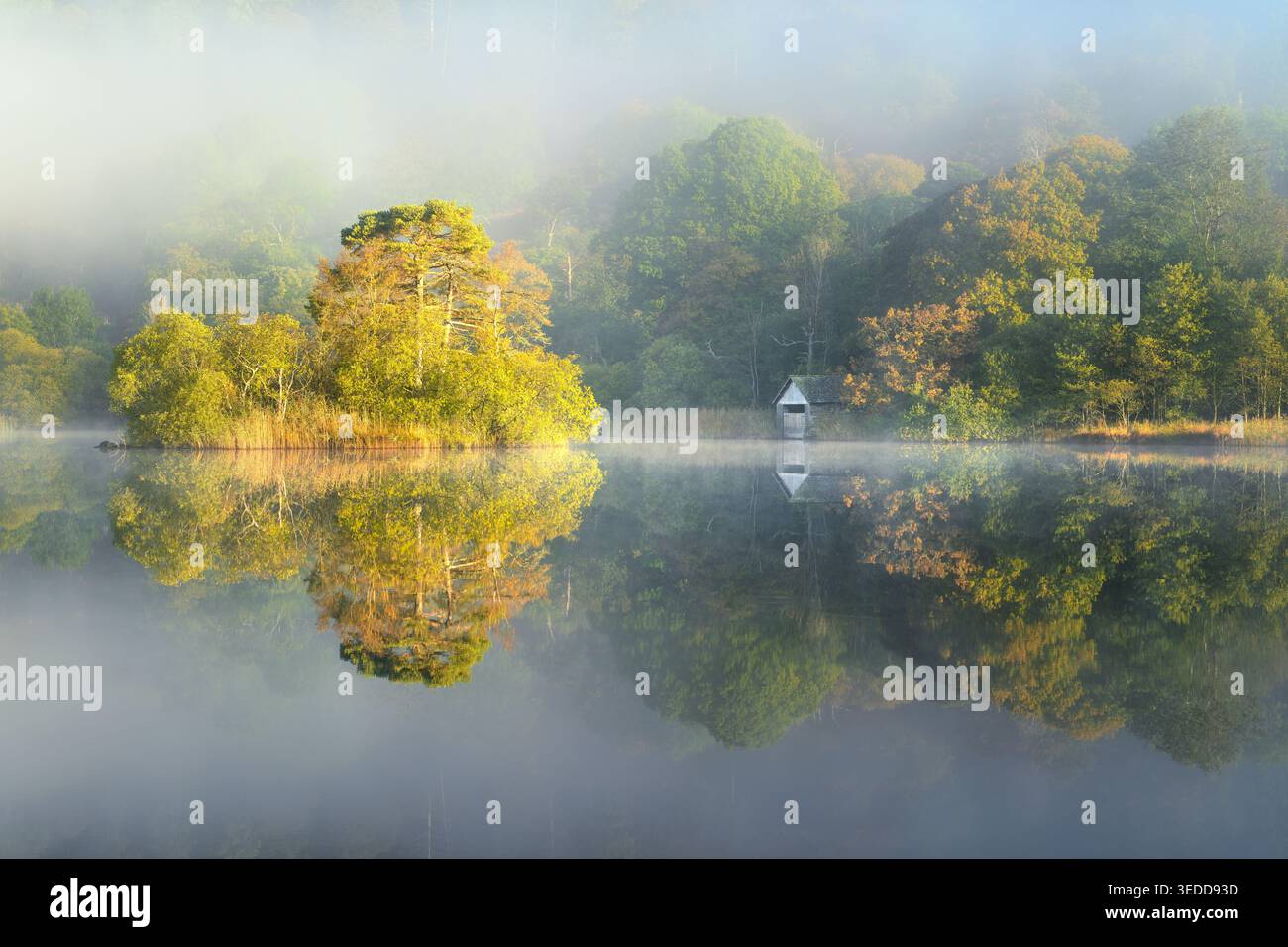 Belle matinée d'automne brumeuse à Rydal Water avec des reflets calmes dans l'eau, Lake District, Royaume-Uni. Banque D'Images