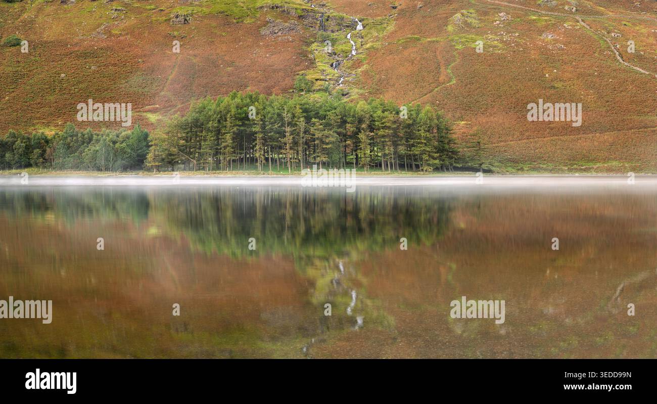 Belle vue sur les arbres sur le rivage de Buttermere un matin d'automne calme, Lake District, Royaume-Uni. Banque D'Images