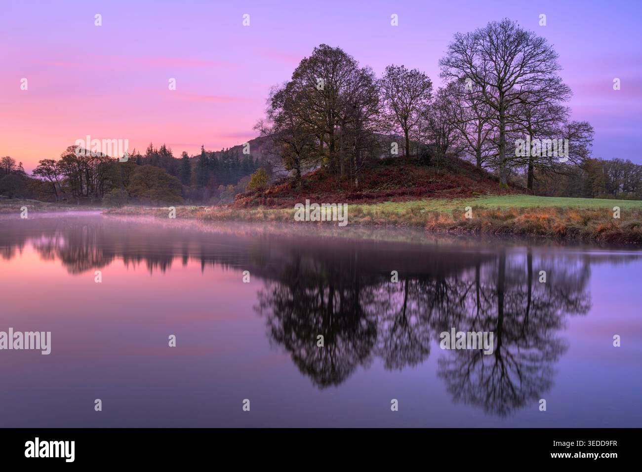 Lever de soleil rose et violet à la rivière Brathay avec des reflets calmes, Lake District, Royaume-Uni. Banque D'Images