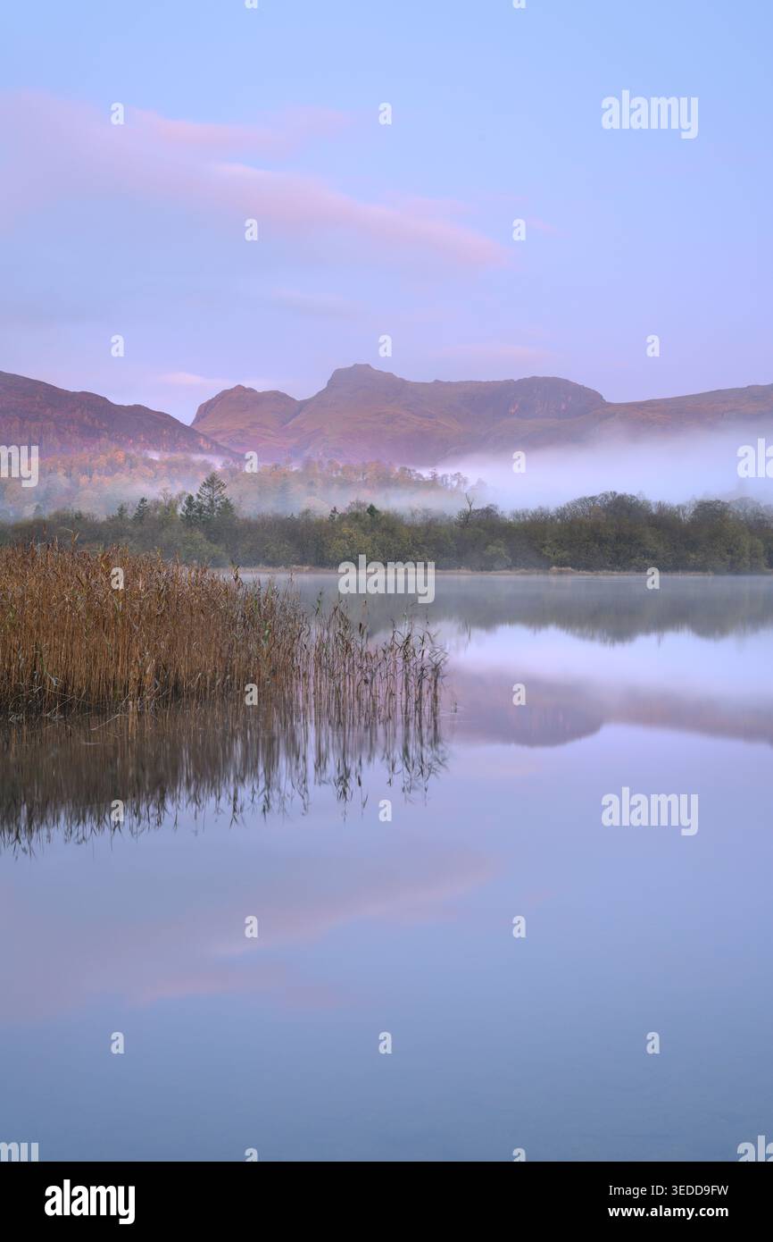 La chaîne de montagnes Langdale Pikes par un beau matin brumeux à Elterwater dans le Lake District, Royaume-Uni. Banque D'Images