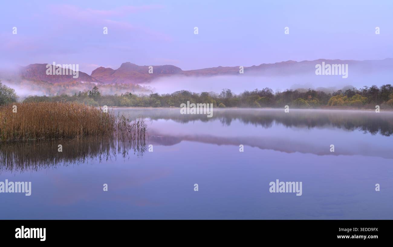 Lac Misty Elterwater en automne avec des reflets paisibles des montagnes dans le Lake District, Royaume-Uni. Banque D'Images