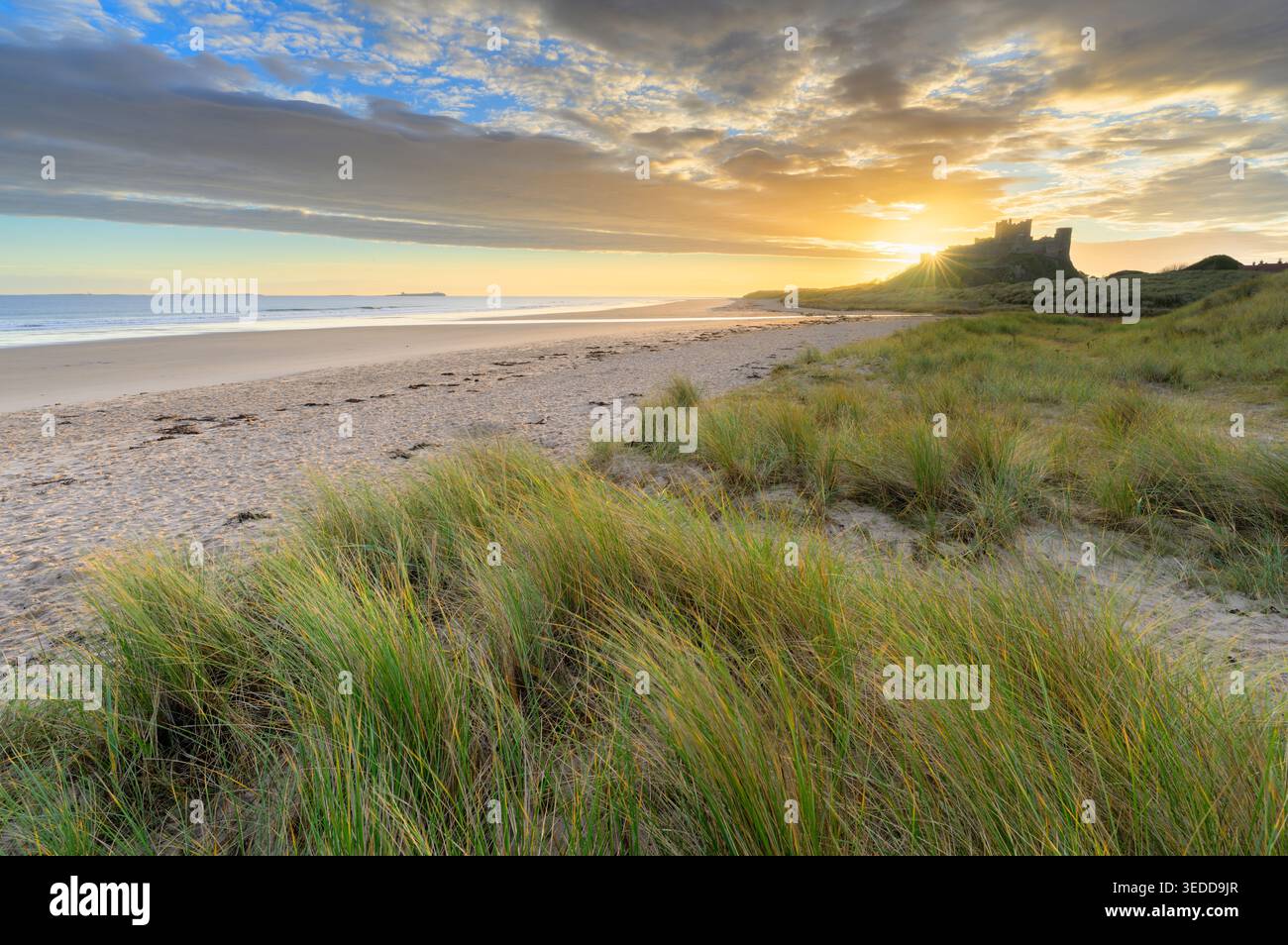 Lumière dorée du matin sur l'herbe et les dunes de sable avec une vue pittoresque sur la plage au château de Bamburgh, Northumberland, Royaume-Uni. Banque D'Images