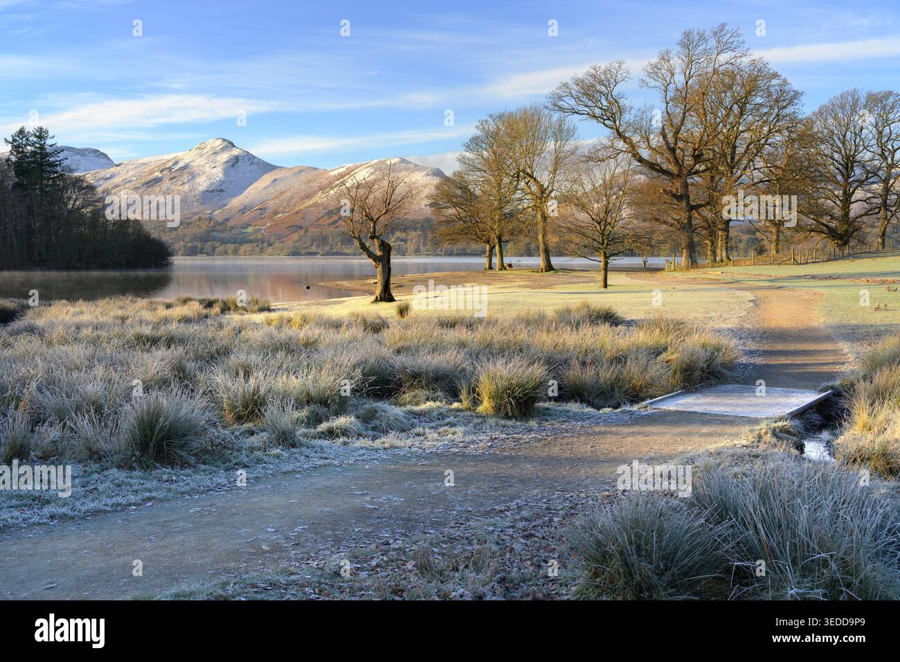 Matin glacial à Derwentwater avec de la neige sur les montagnes, vu de près de Friars Crag dans le Lake District, Royaume-Uni. Banque D'Images