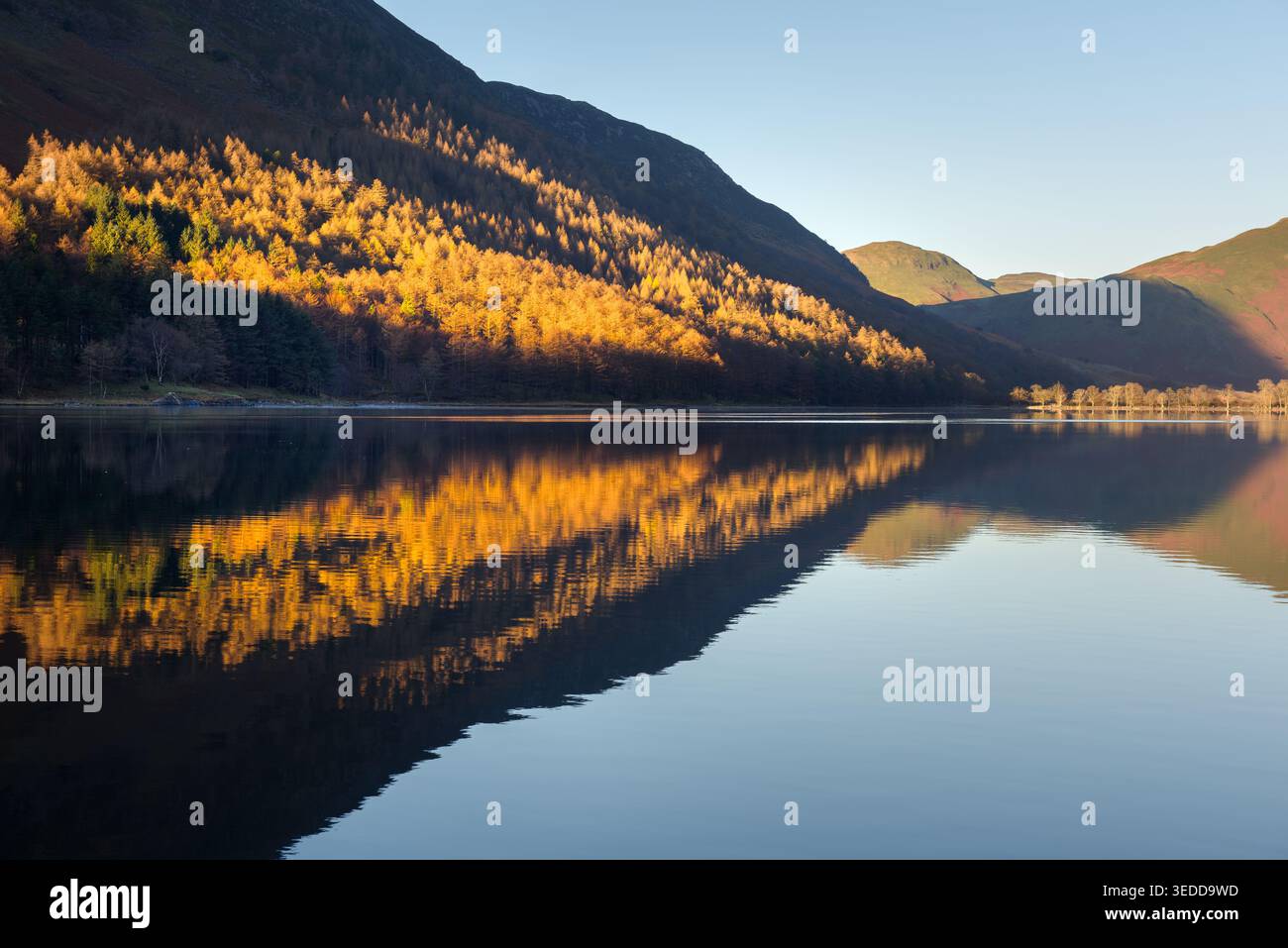 Réflexions dans le lac Buttermere sur l'hiver croustillant matin ensoleillé, Lake District, Angleterre, Royaume-Uni. Banque D'Images