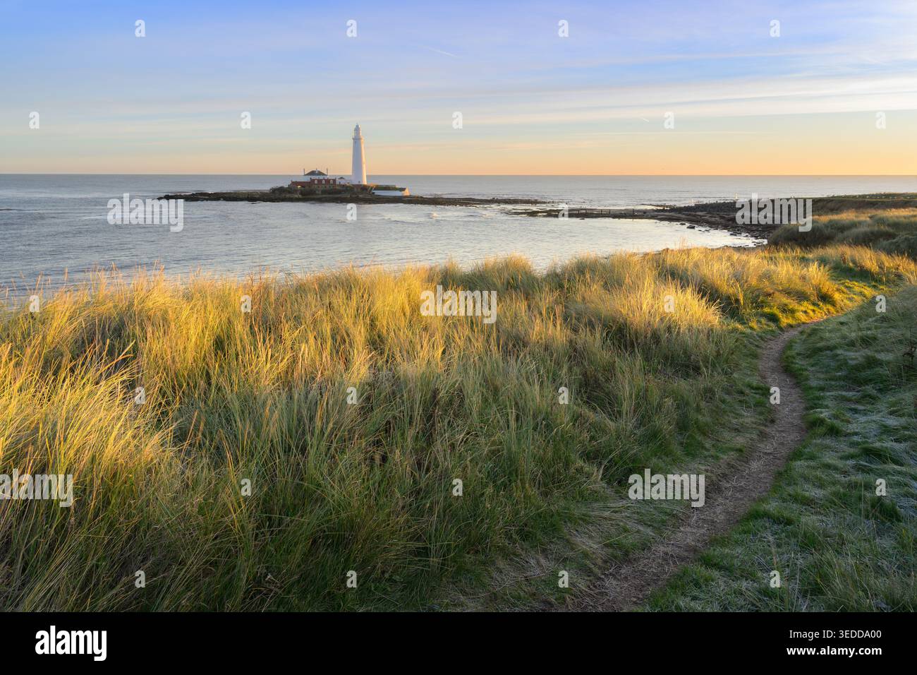 Sentier paisible avec vue sur St Mary's Island et le phare par une belle matinée ensoleillée. Whitley Bay, North Tyneside, Angleterre, Royaume-Uni. Banque D'Images