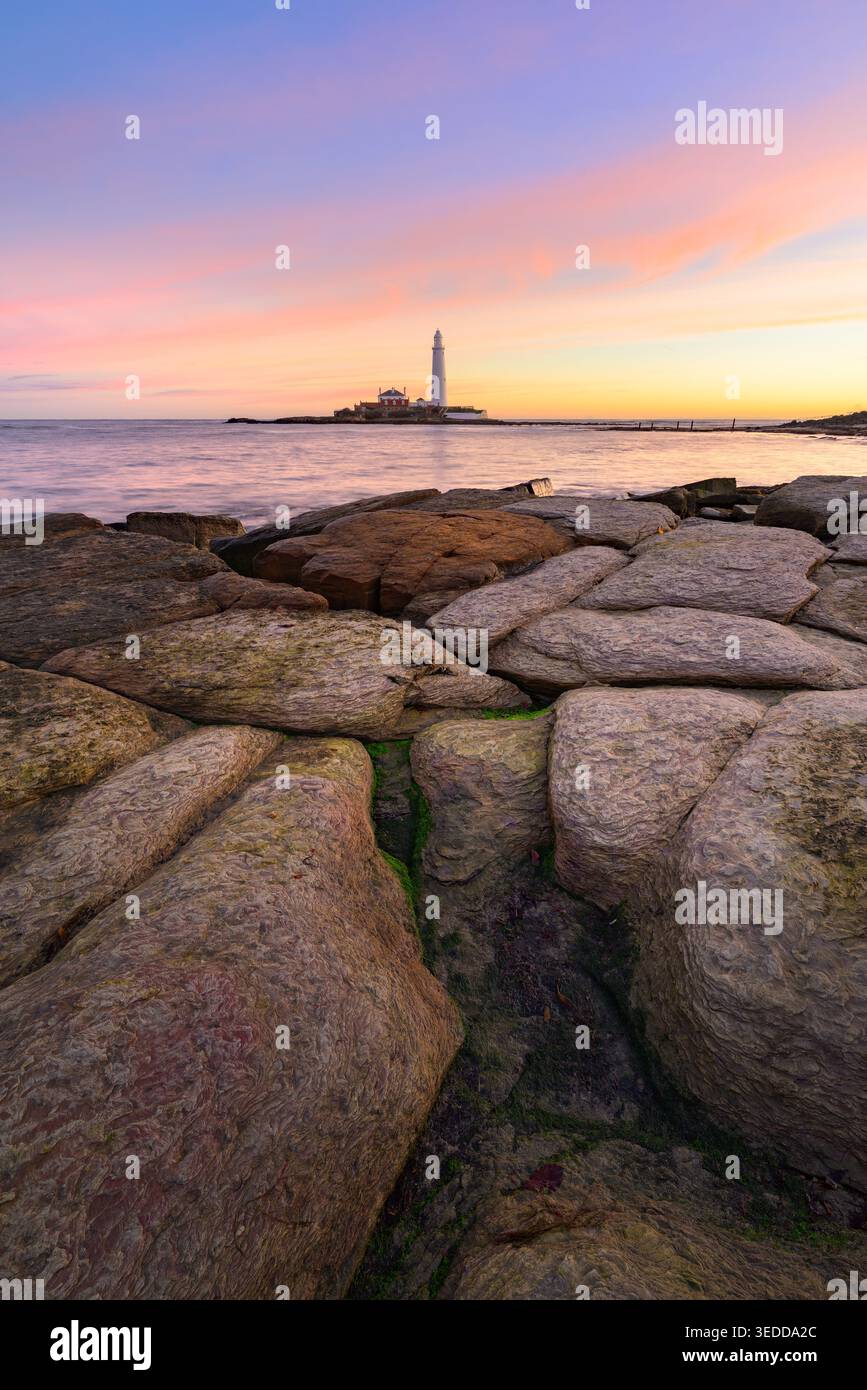 Lever de soleil rose coloré au phare de St Marys avec des rochers sur le rivage. Whitley Bay, North Tyneside, Angleterre, Royaume-Uni. Banque D'Images