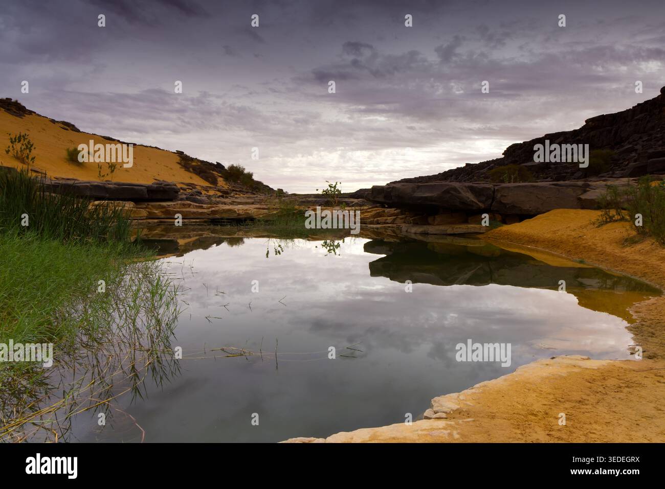 Splendide oasis avec un petit lac, Mauritanie Banque D'Images