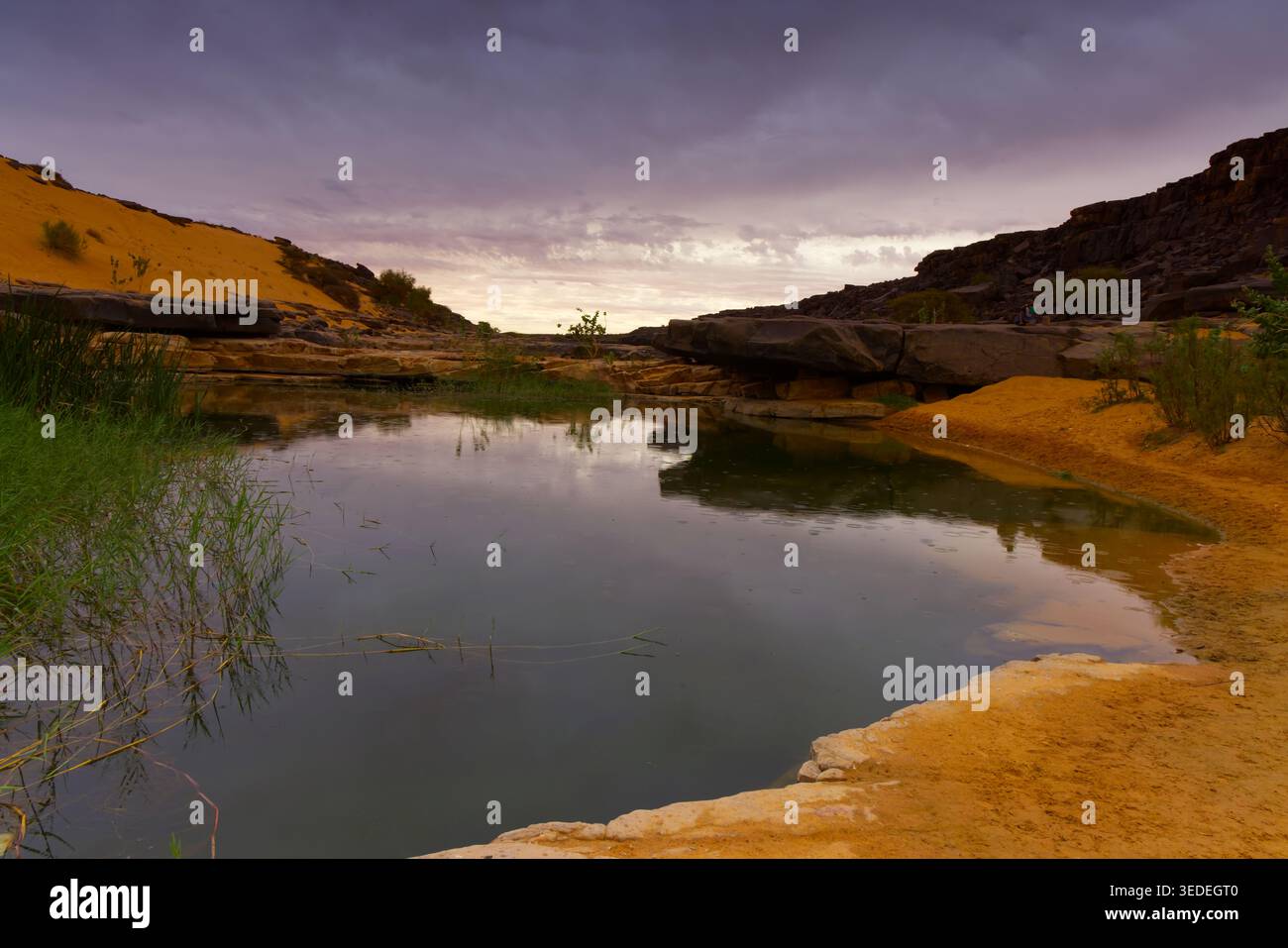 Splendide oasis avec un petit lac, Mauritanie Banque D'Images