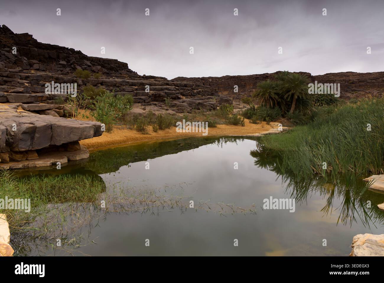 Splendide oasis avec un petit lac, Mauritanie Banque D'Images