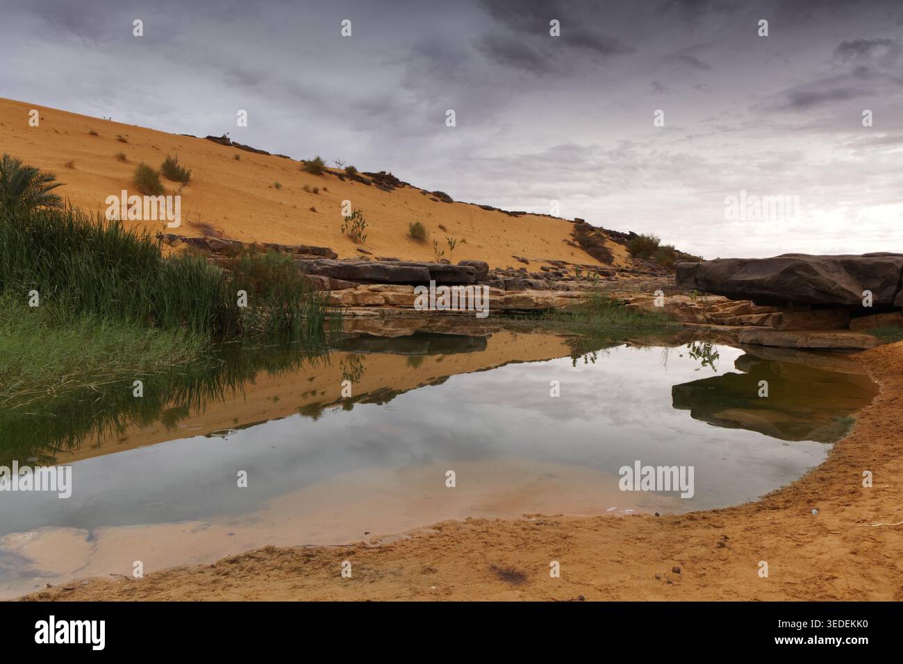 Splendide oasis avec un petit lac, Mauritanie Banque D'Images