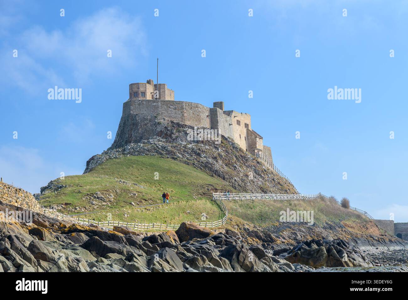 Château de Lindisfarne sur l'île Sainte au large de la côte du Northumberland dans le nord de l'Angleterre Banque D'Images