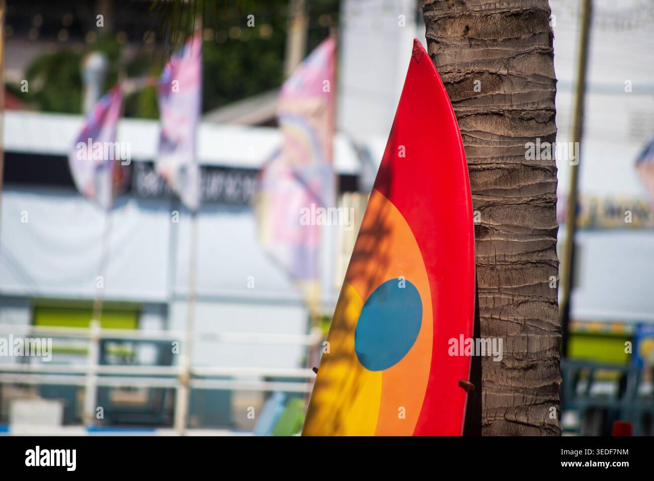 Une planche de surf dynamique s'appuie contre un palmier, capturant l'essence de l'été et des loisirs en plein air au bord de la plage avec des éléments colorés et des vibrations ensoleillées Banque D'Images