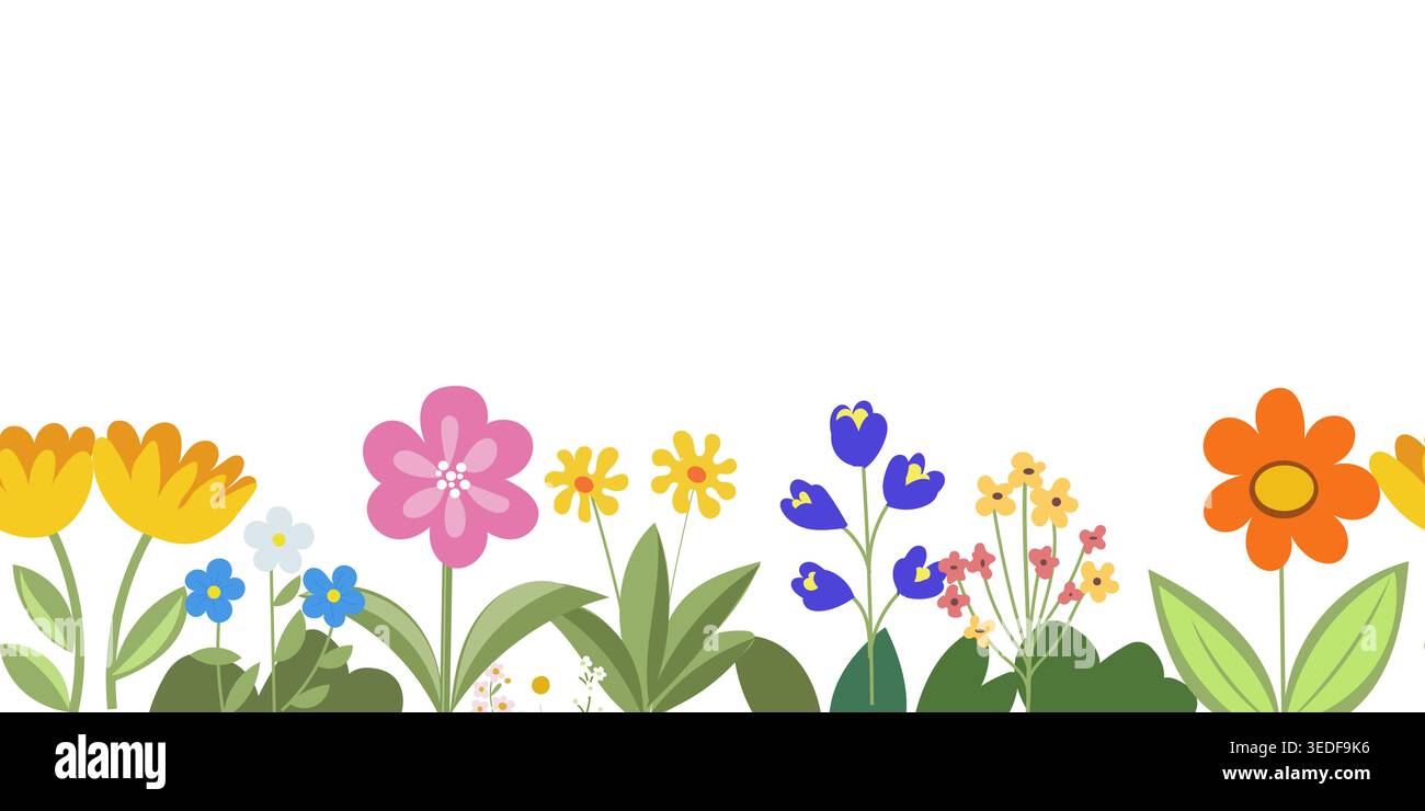 Vecteur bannière horizontale sans couture de fleurs d'été de printemps de fleur. Bordure de paysage de fleur de style plat de vecteur. Fleurs sauvages isolées sur fond blanc Illustration de Vecteur