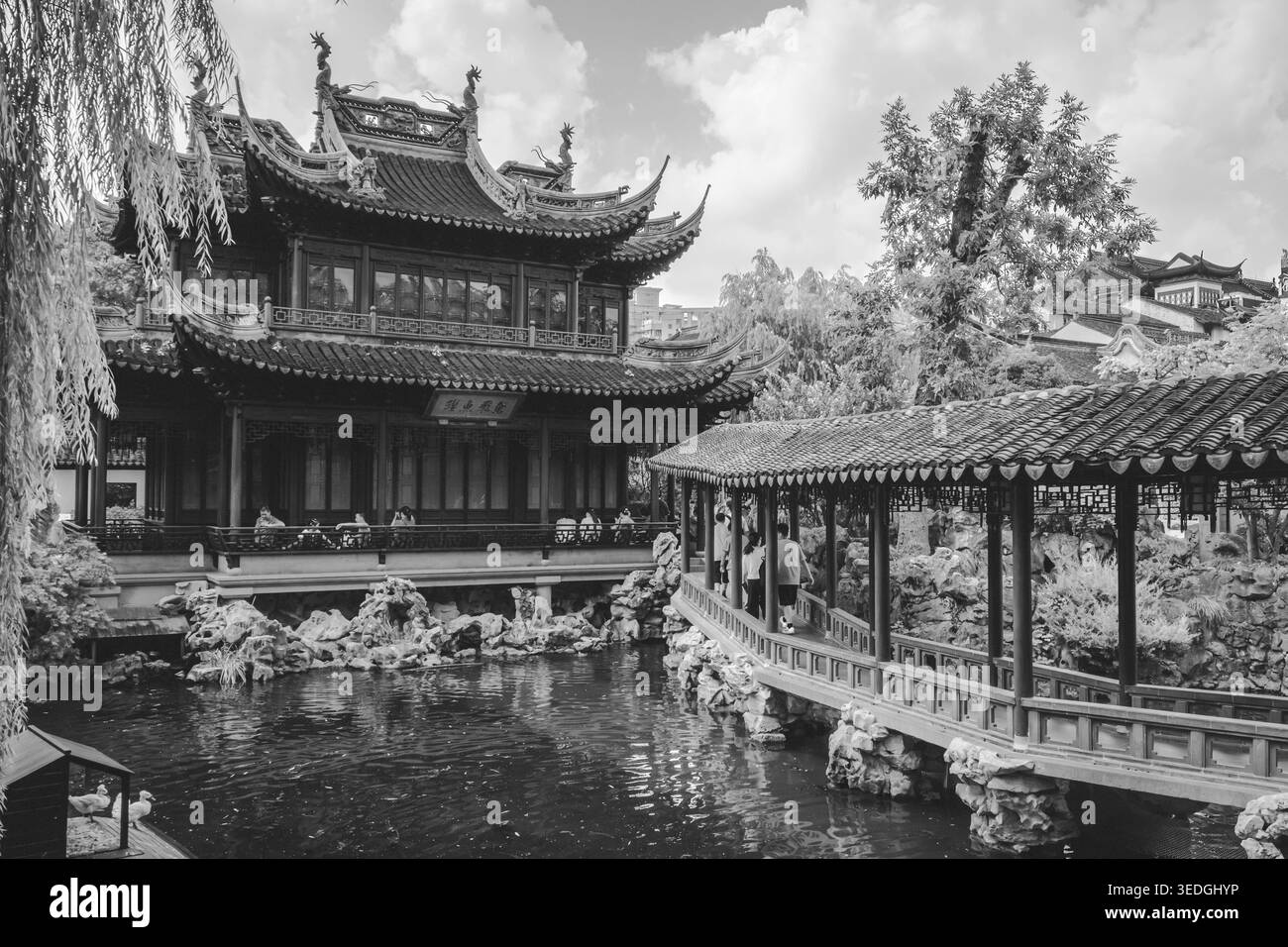 Les visiteurs explorent un jardin chinois traditionnel avec un pont en bois et un étang sous un ciel nuageux dans une ville animée Banque D'Images