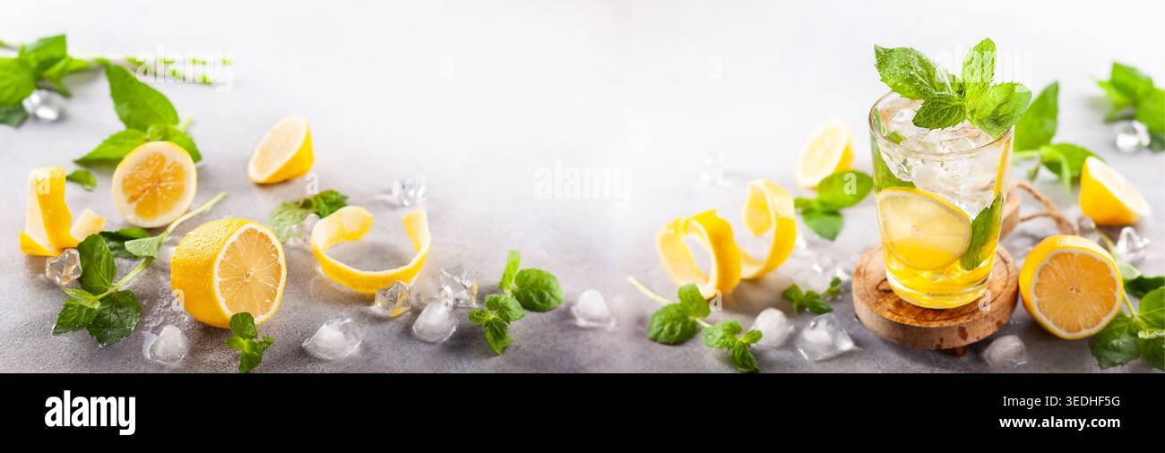 Limonade d'été rafraîchissante maison avec des tranches de citron, des feuilles de menthe et de la glace dans le verre. Banque D'Images